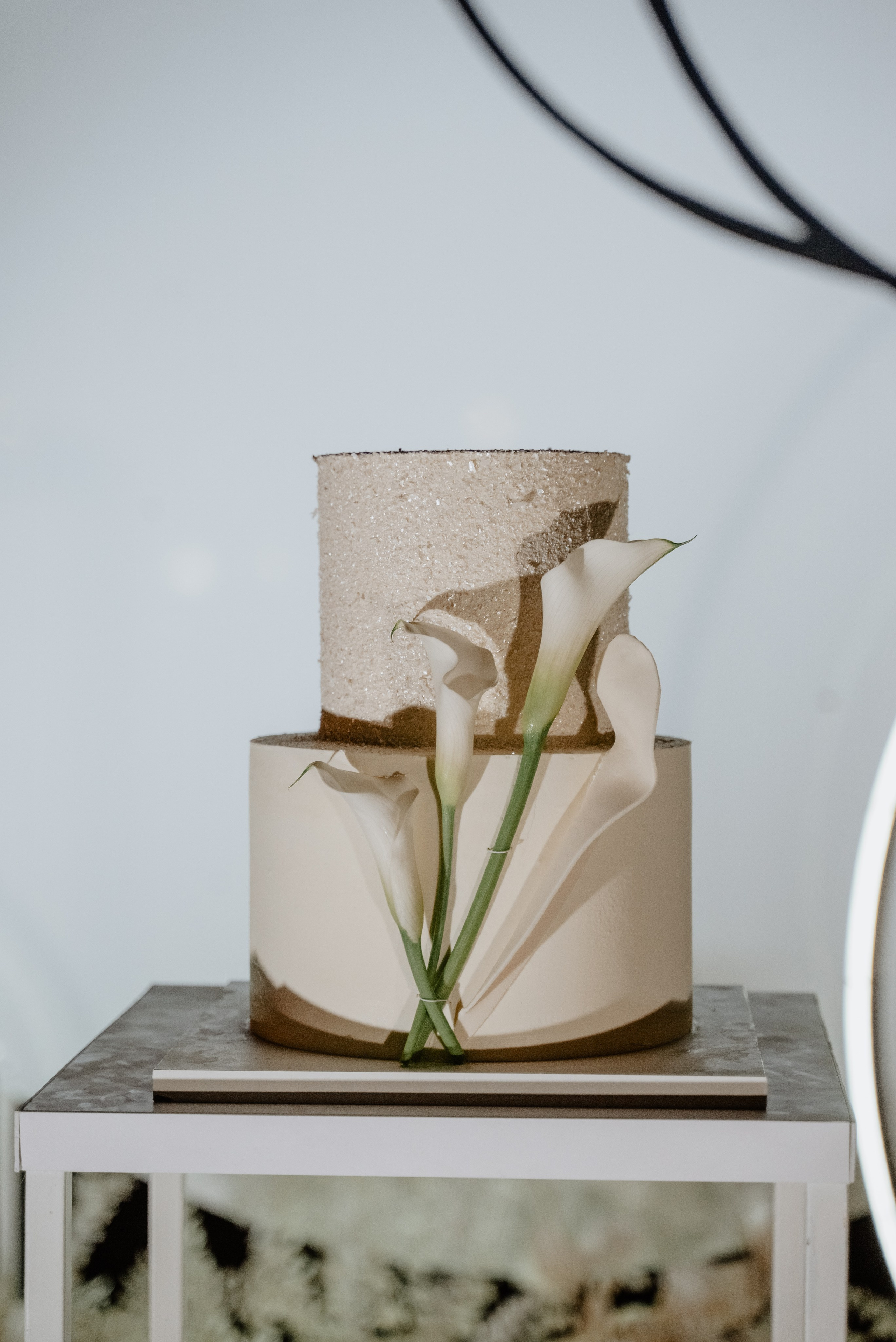 Михаил и Александра. Свадебный и портретный фотограф в Брянске и Москве Алина Химушкина