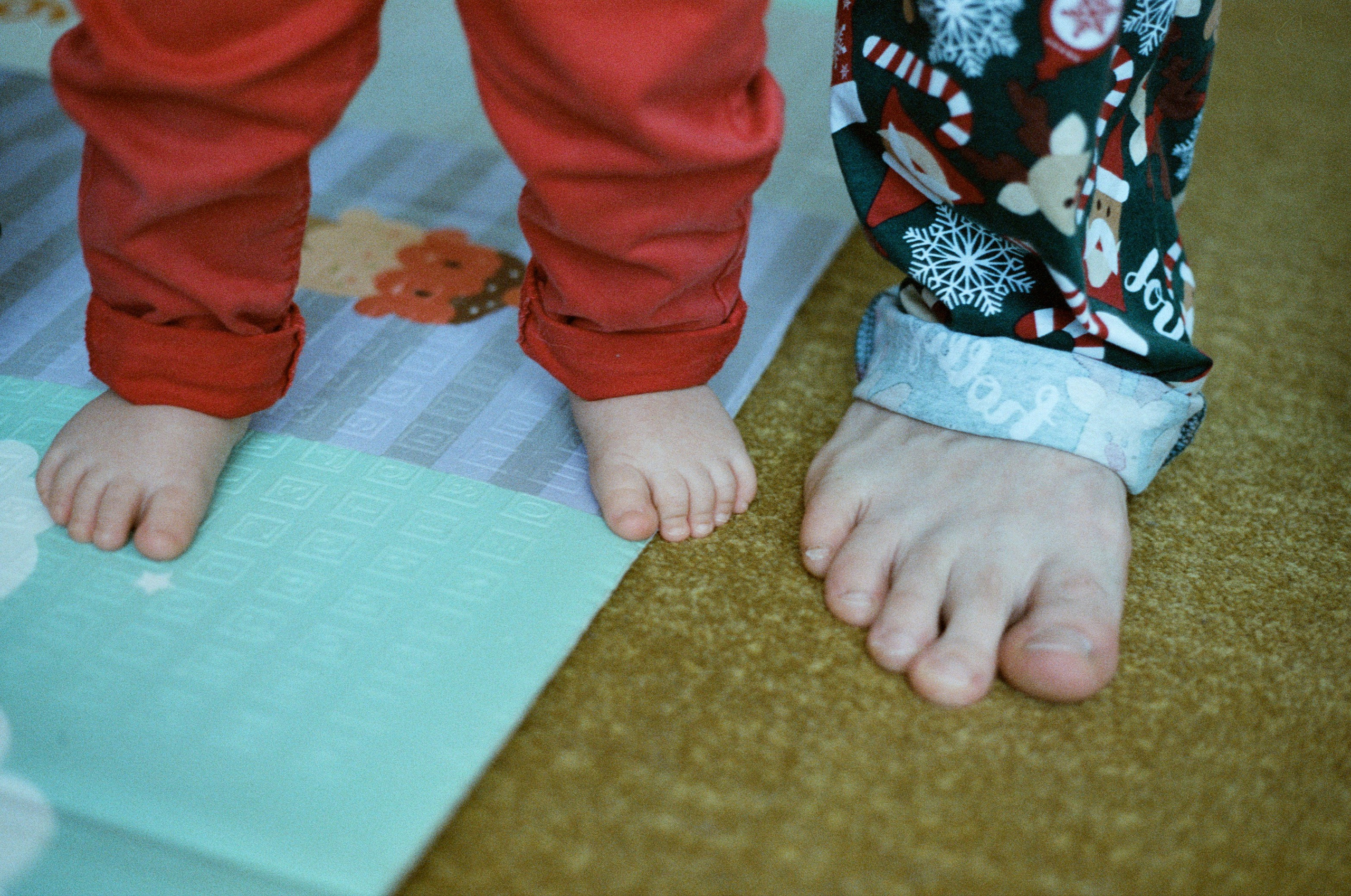 Даня, Алёна, Лёва и таксы. Настя Оленченко, портретный/семейный фотограф на цифру и плёнку Москва