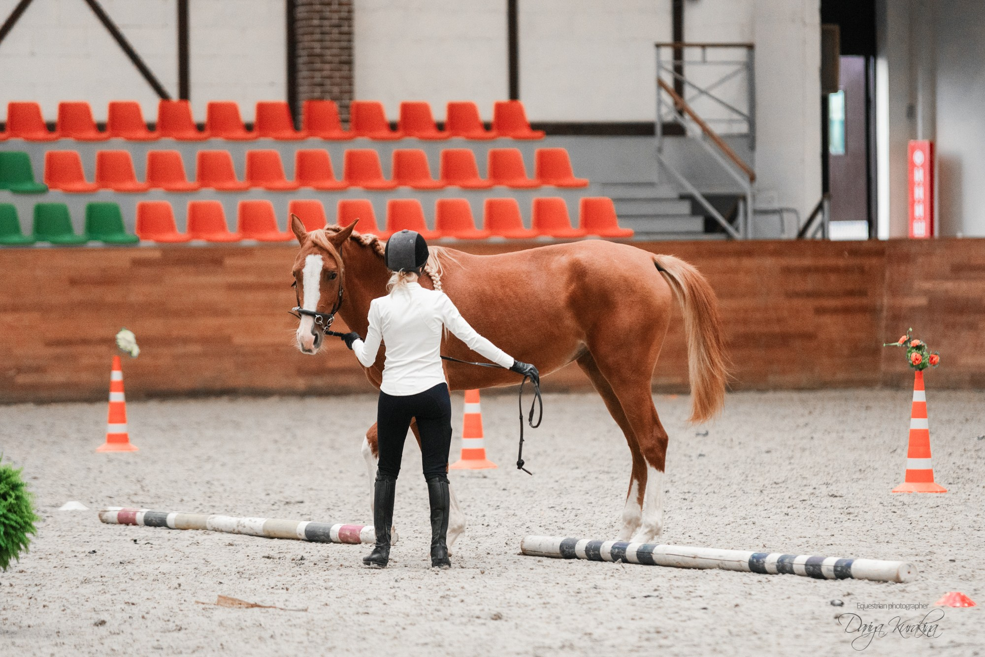 8-я международная выставка Конная Россия. Конный фотограф Куракина Дарья • Фотосессии с лошадьми