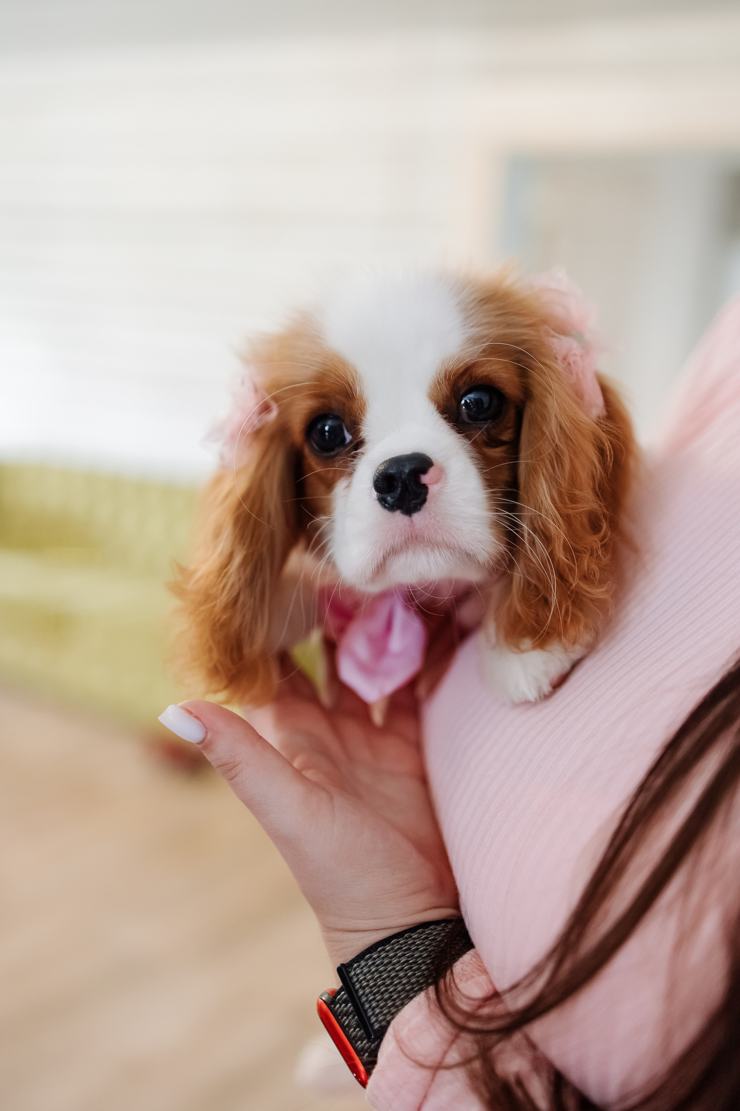 Хочу надеть купальник (Николаево). Свадебный фотограф