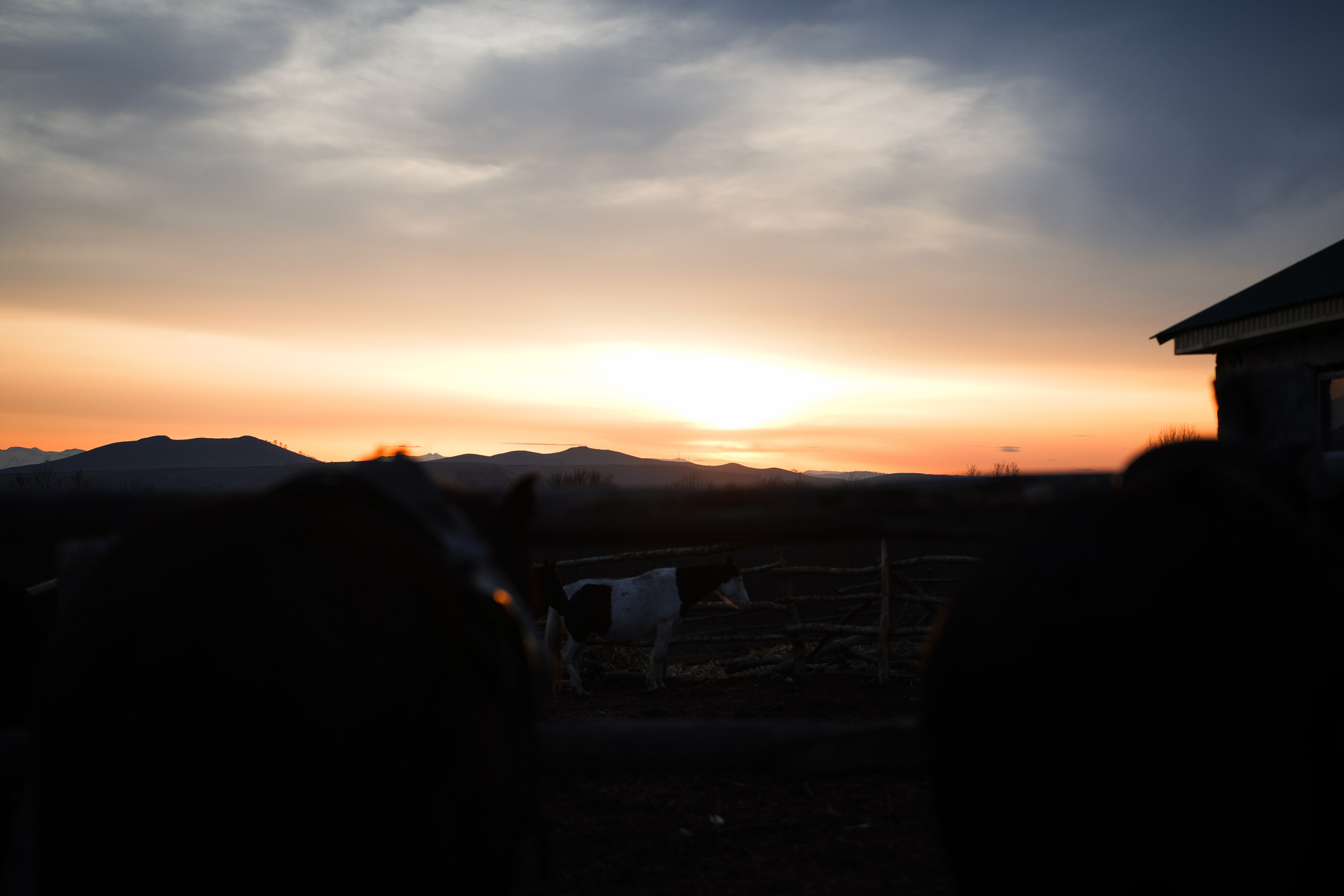 Кавказ. Анна Жукова — Режиссёр кино и цирка, сценарист, фотограф