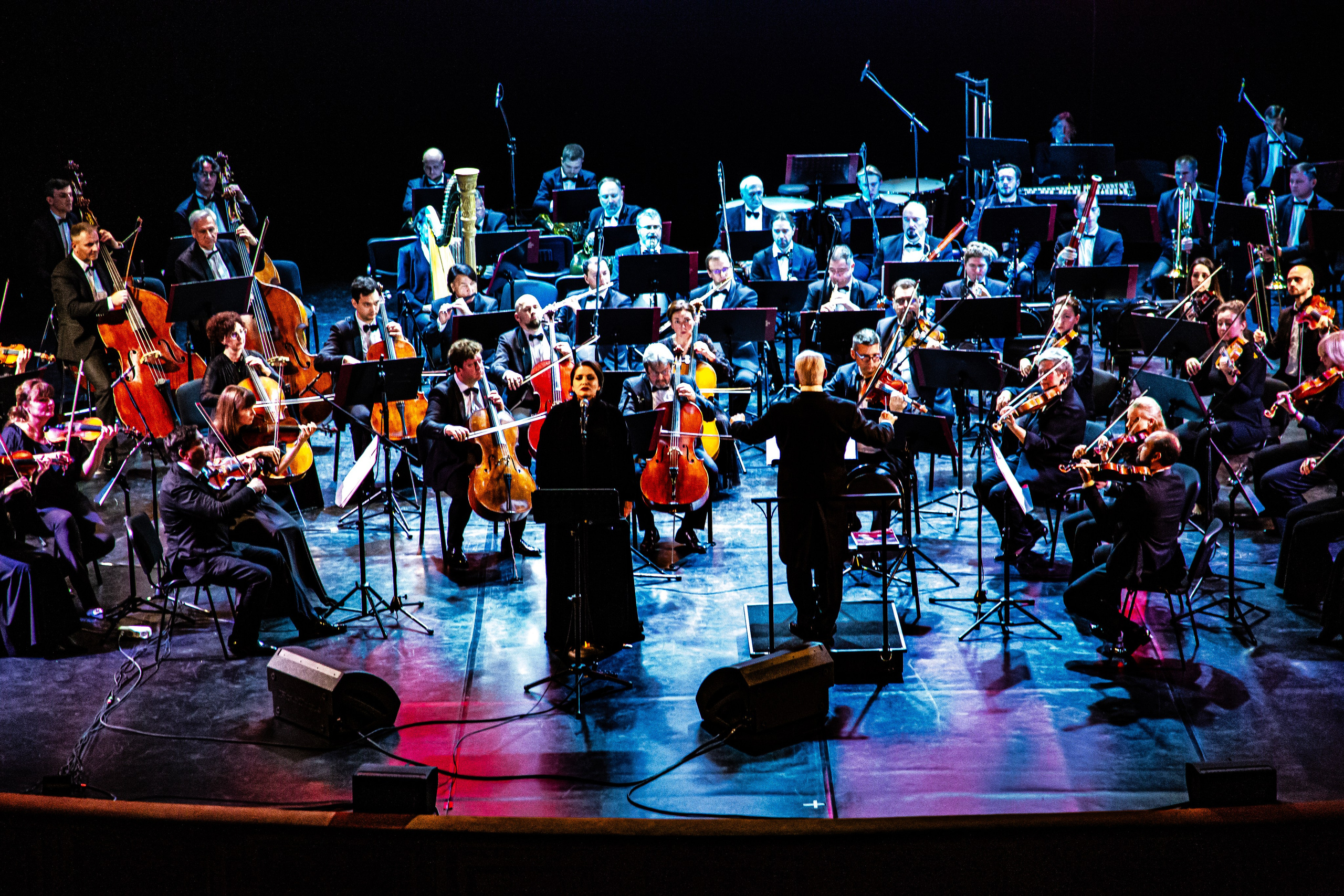 КОНЦЕРТ «Я люблю тебя, жизнь!». Фотограф в Сочи Юрий Шептаев
