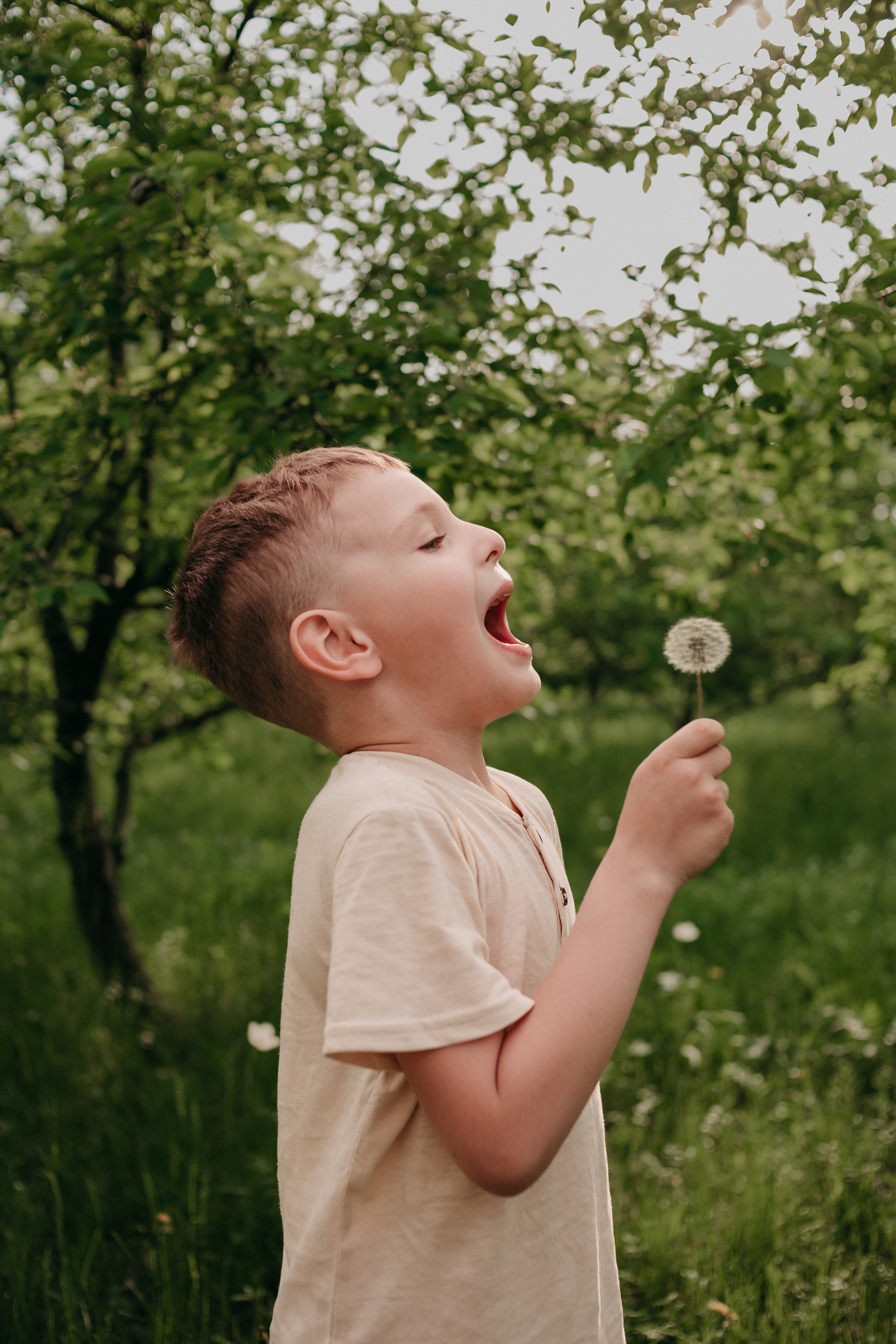 Семейный пикник. Фотограф Регина Крикунова г. Красноярск