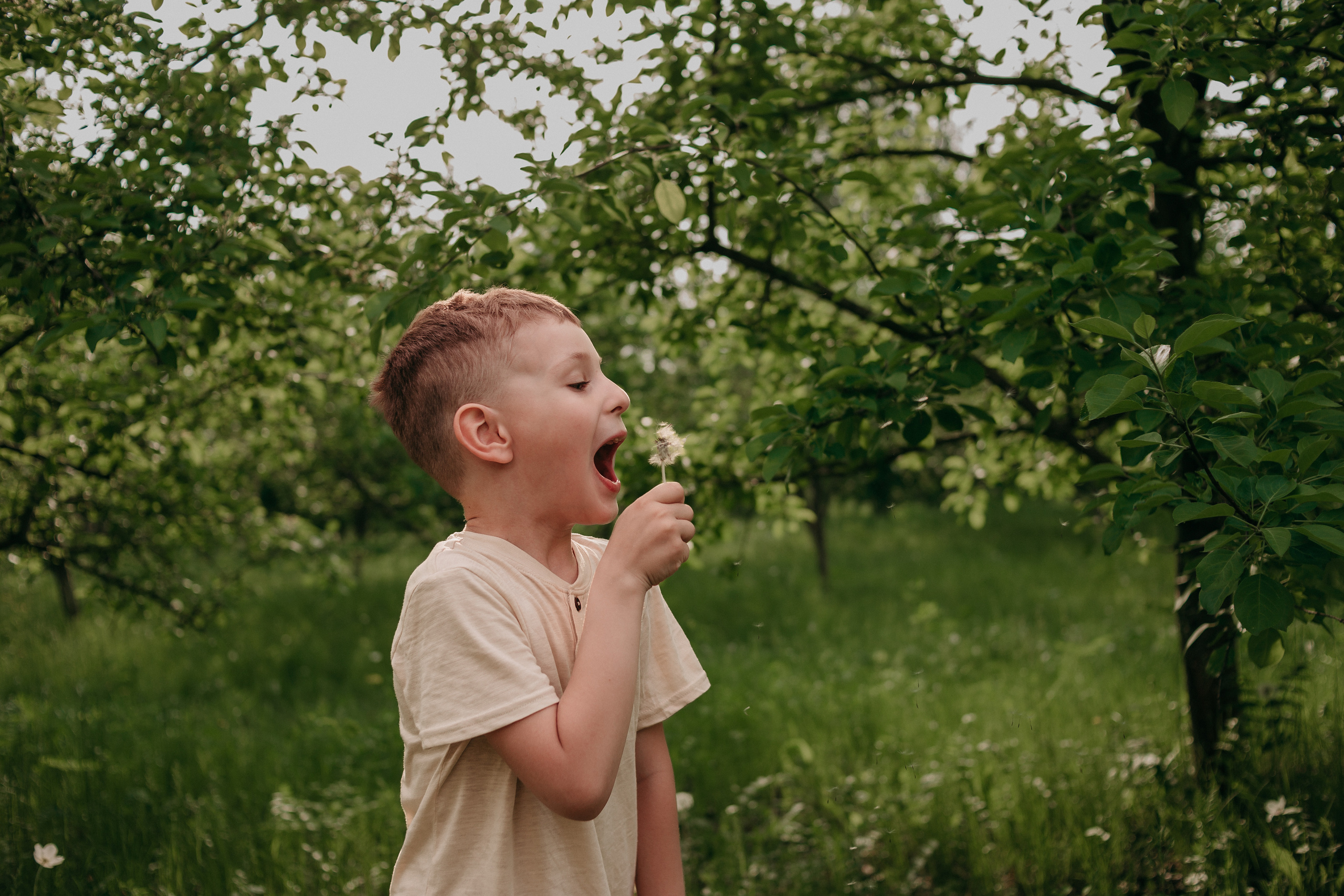 Семейный пикник. Фотограф Регина Крикунова г. Красноярск