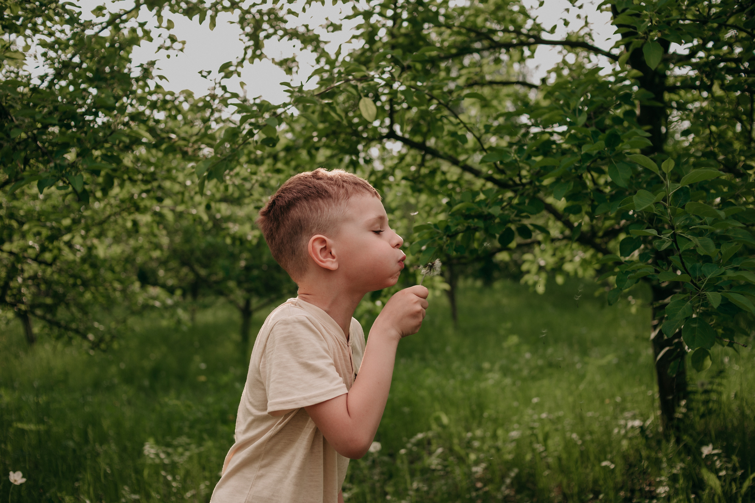 Семейный пикник. Фотограф Регина Крикунова г. Красноярск