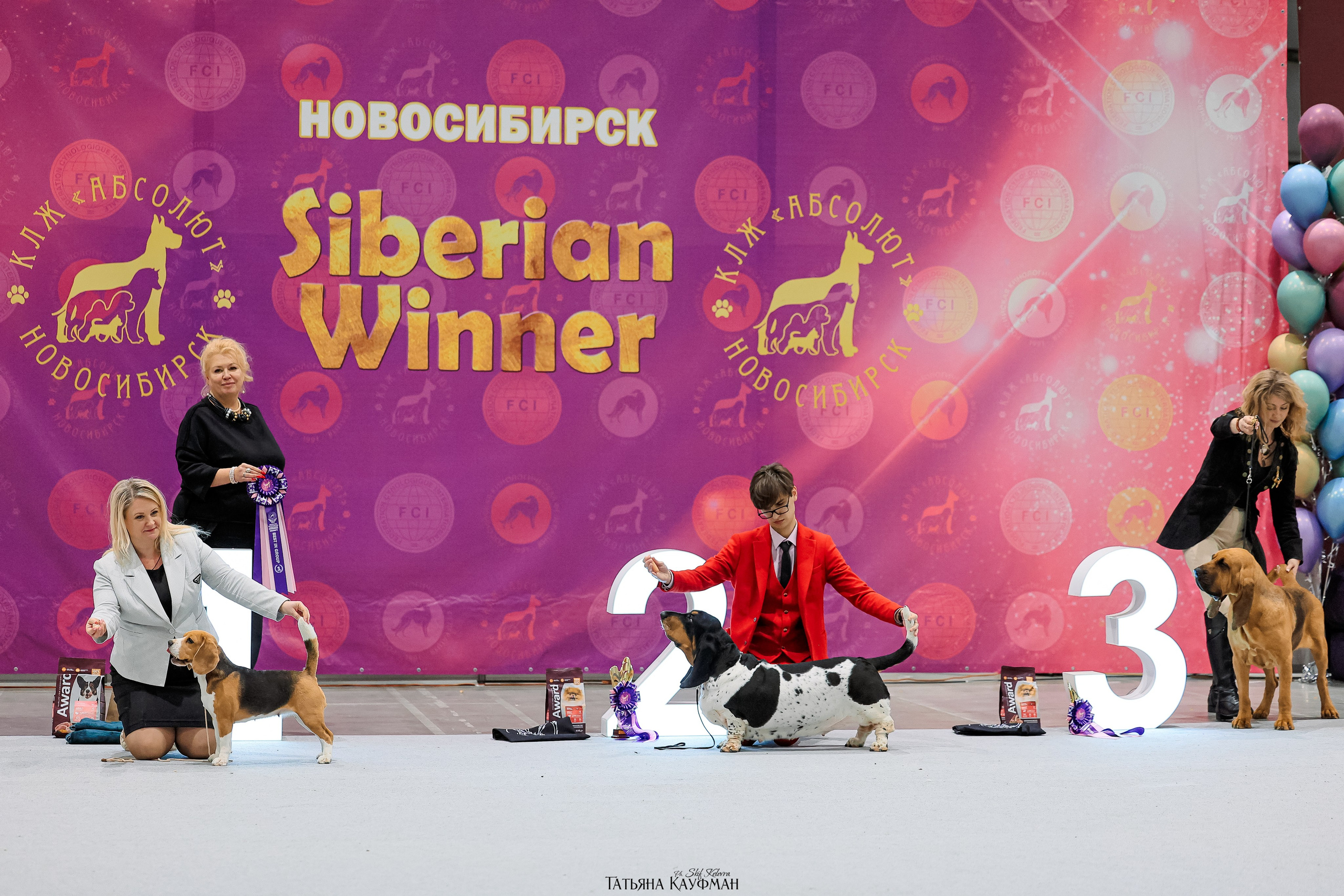 28-29.03.2026 Рейтинговая выставка в Новосибирске. Фотограф Анималист из Новосибирска Татьяна Кауфман