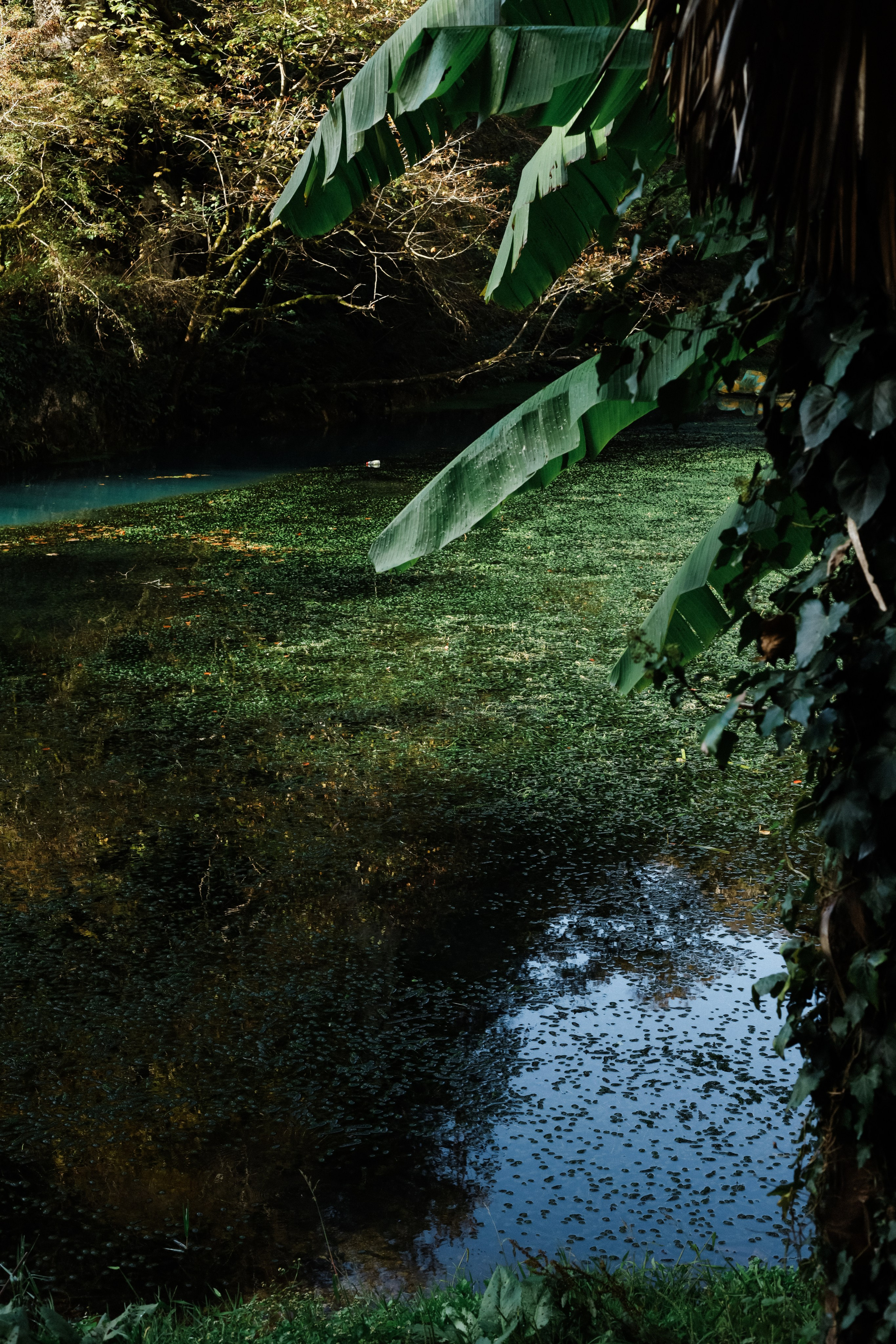 Абхазия 2023. Свадебный и семейный фотограф Анна Печенкина