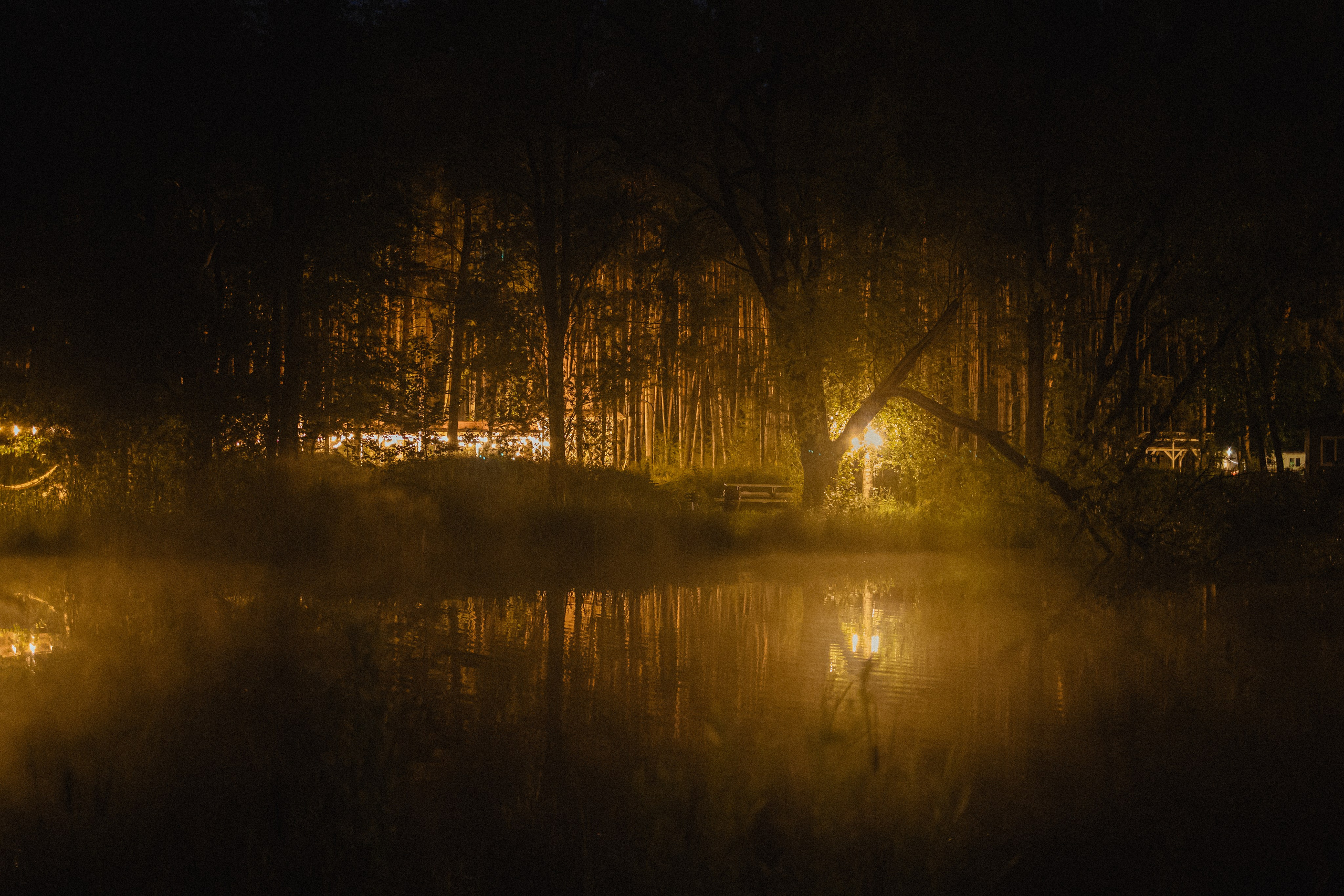 Выездной дог-тренинг от школы «Шерсть имею»