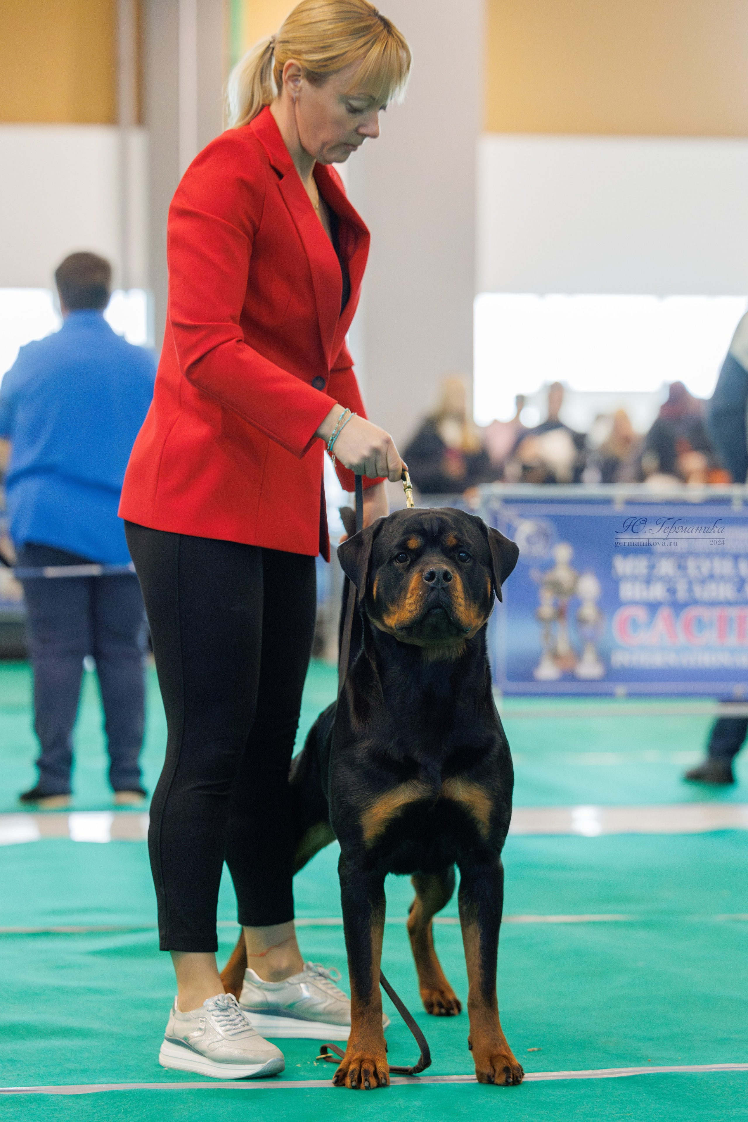 Минск 23.11.2024. Фотограф-анималист Юлия Германика