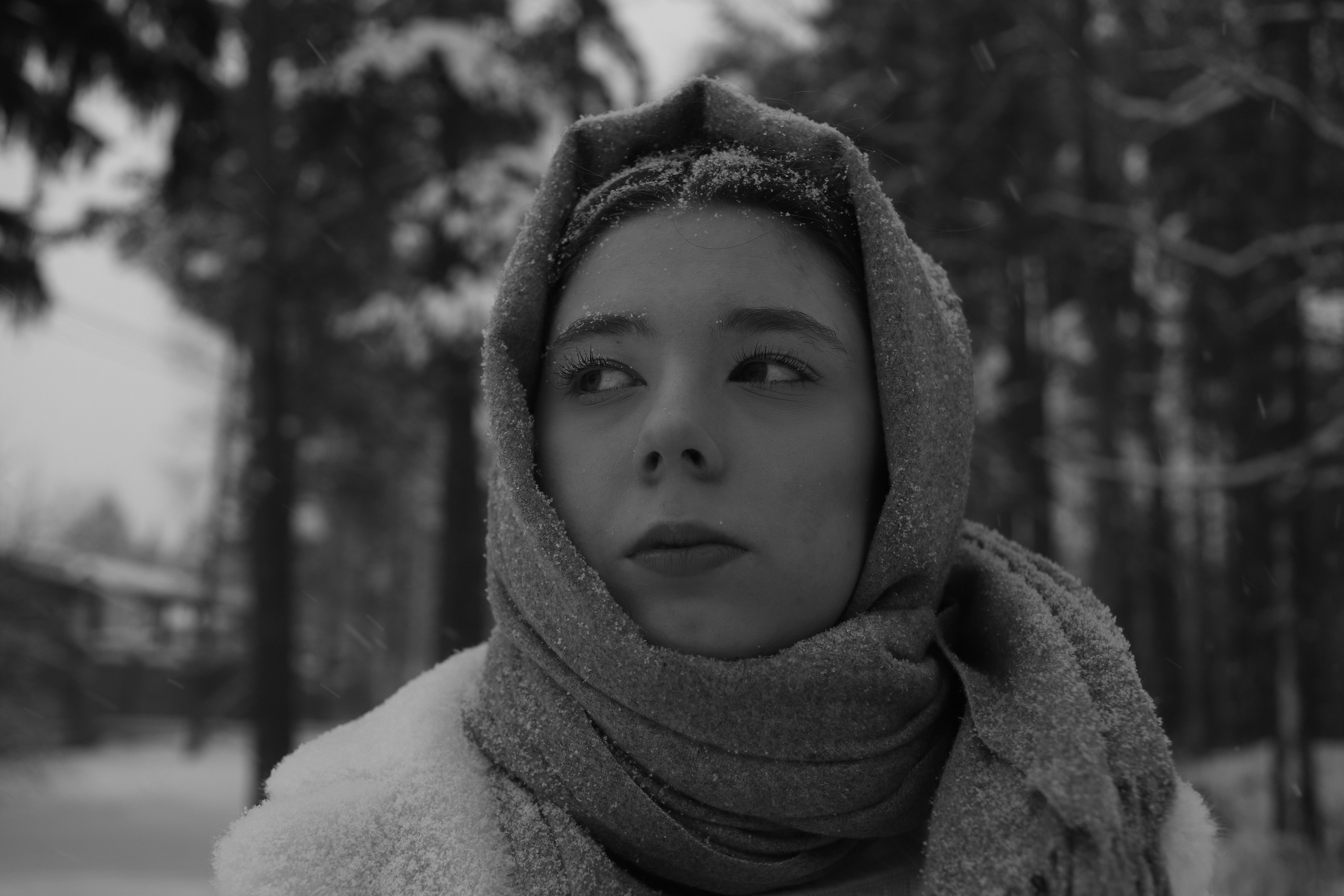 Eclipse. IDI V KADR | DRAMA QUEEN