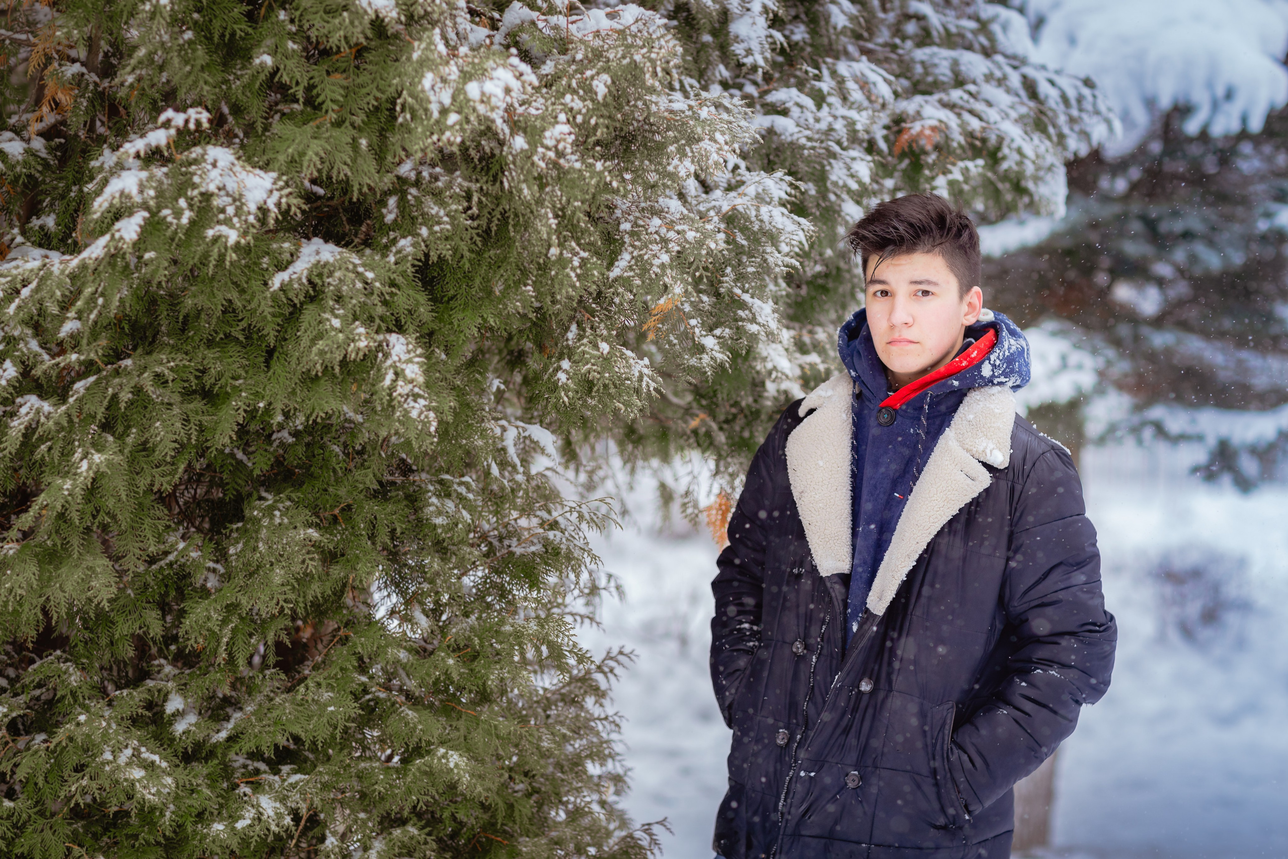 Зимняя прогулка