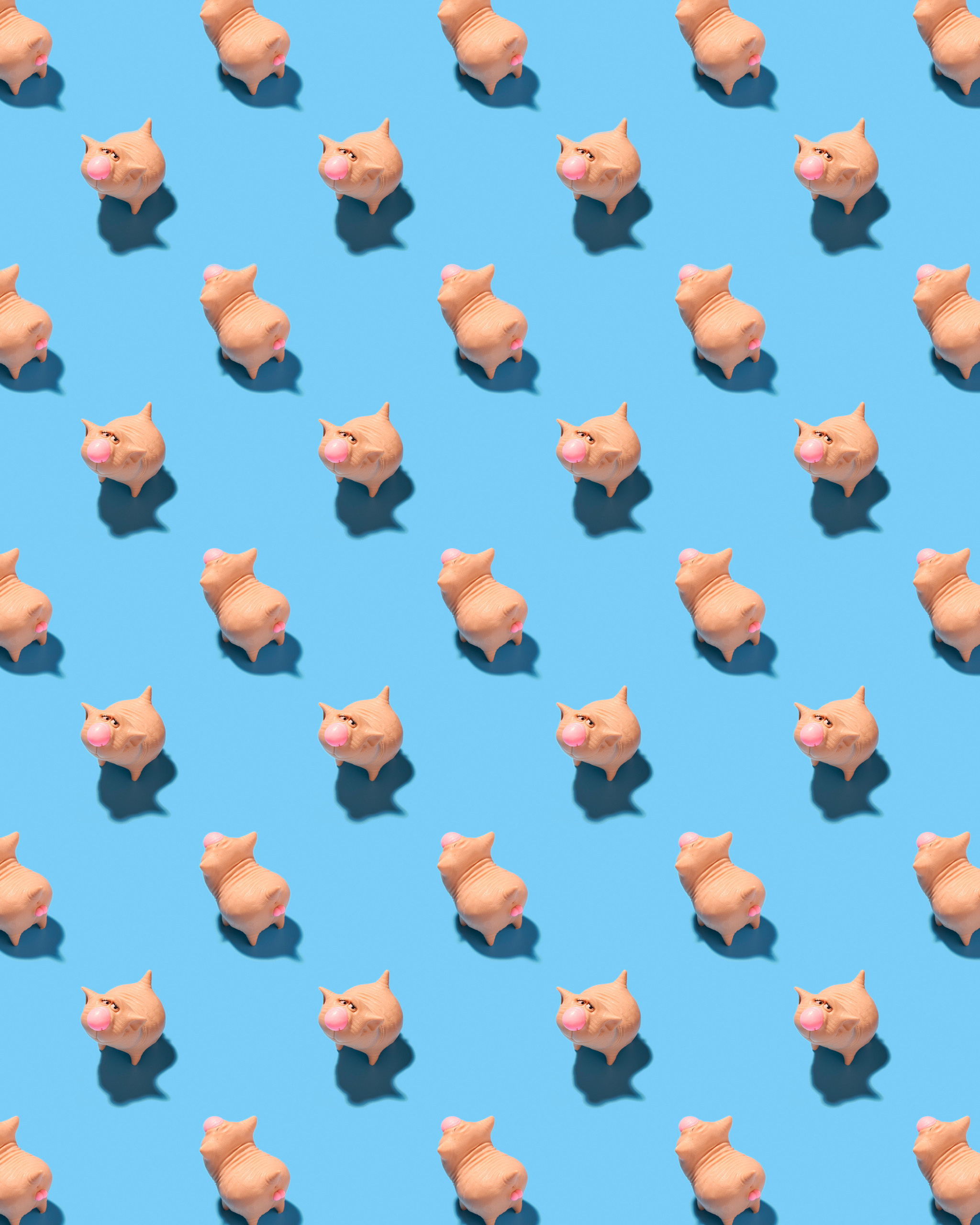 Products. Photographer Igor Orishich