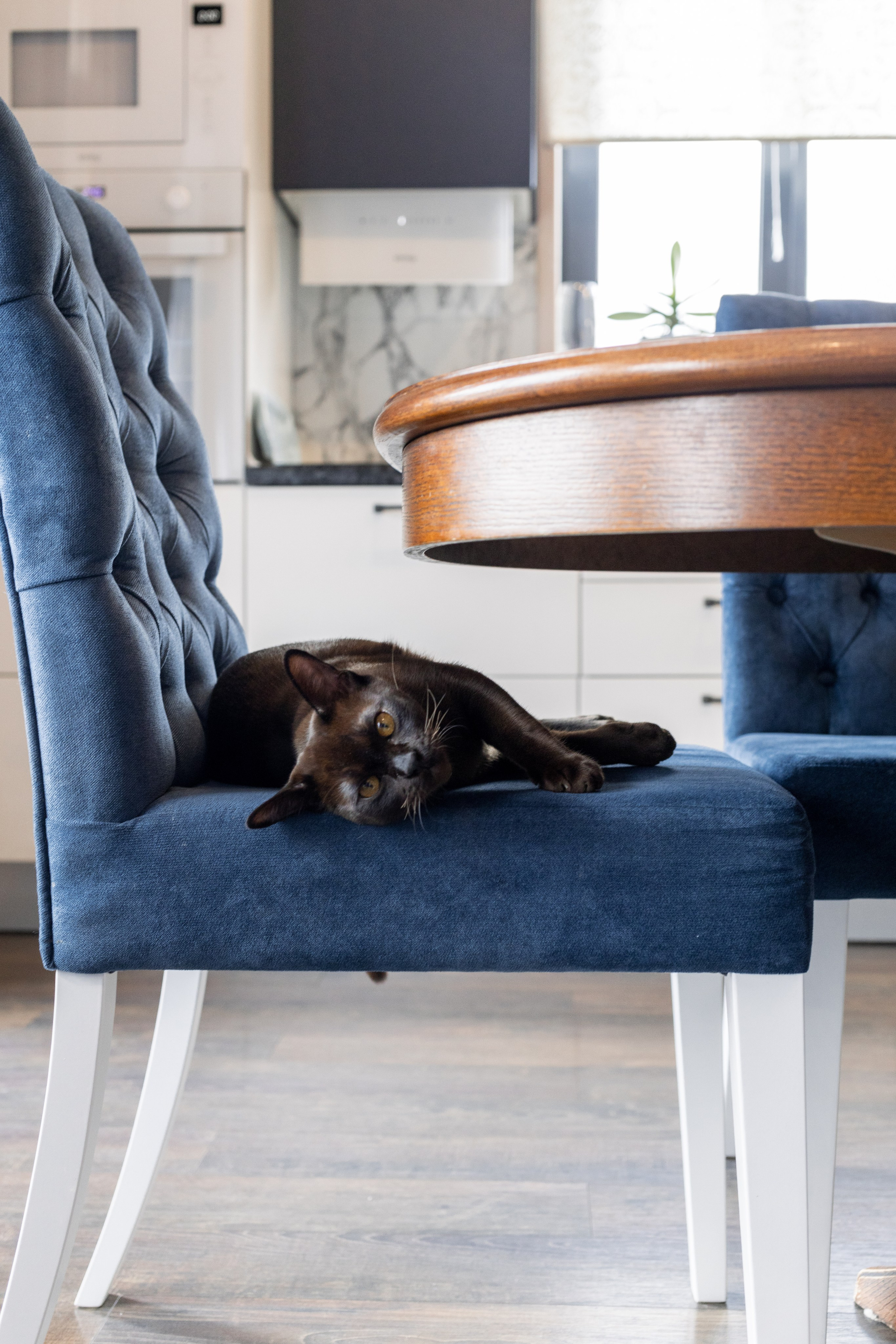 Дом. Репортажный фотограф Анастасия Головко