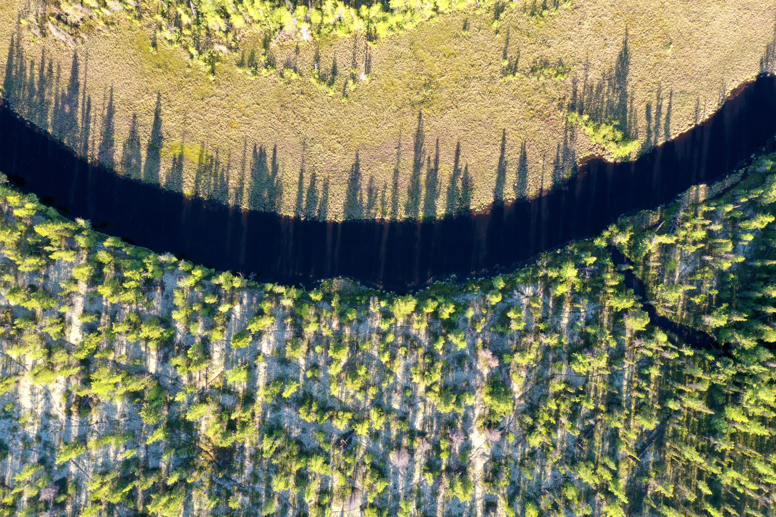 Фотограф Мельник Ирина. Москва