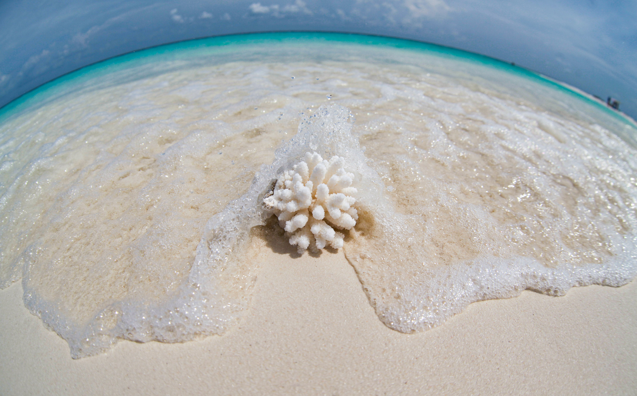 Фотограф Мельник Ирина. Москва