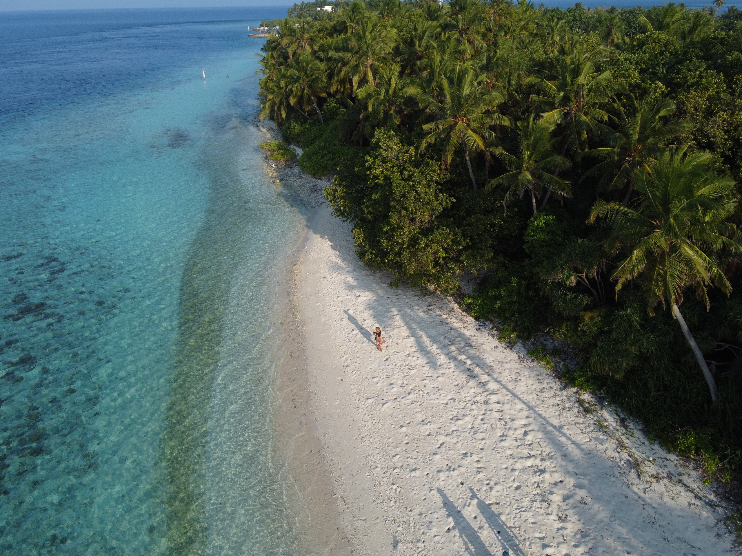 Фотограф Мельник Ирина. Москва
