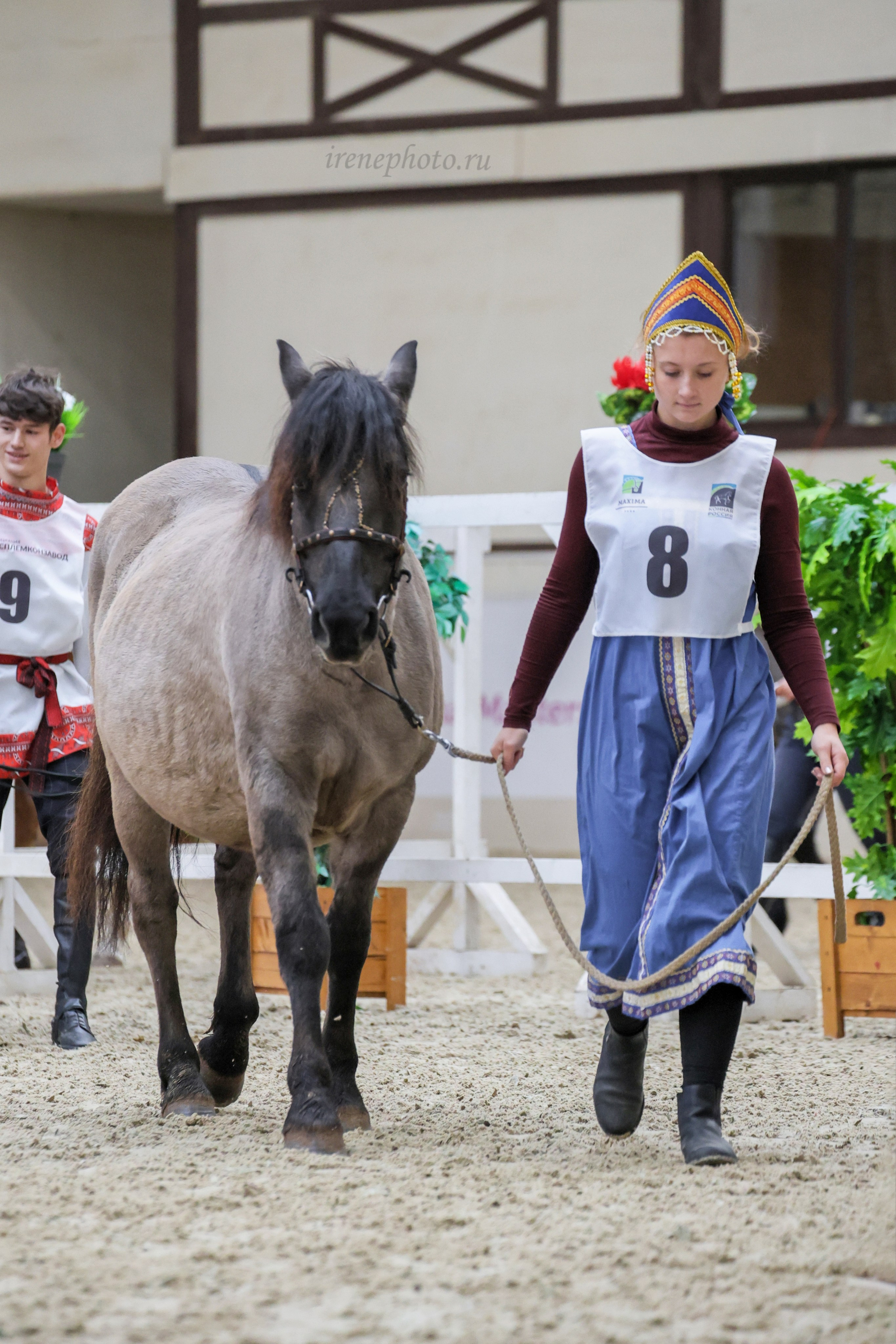 Конная Россия 2024. Irenephoto.ru