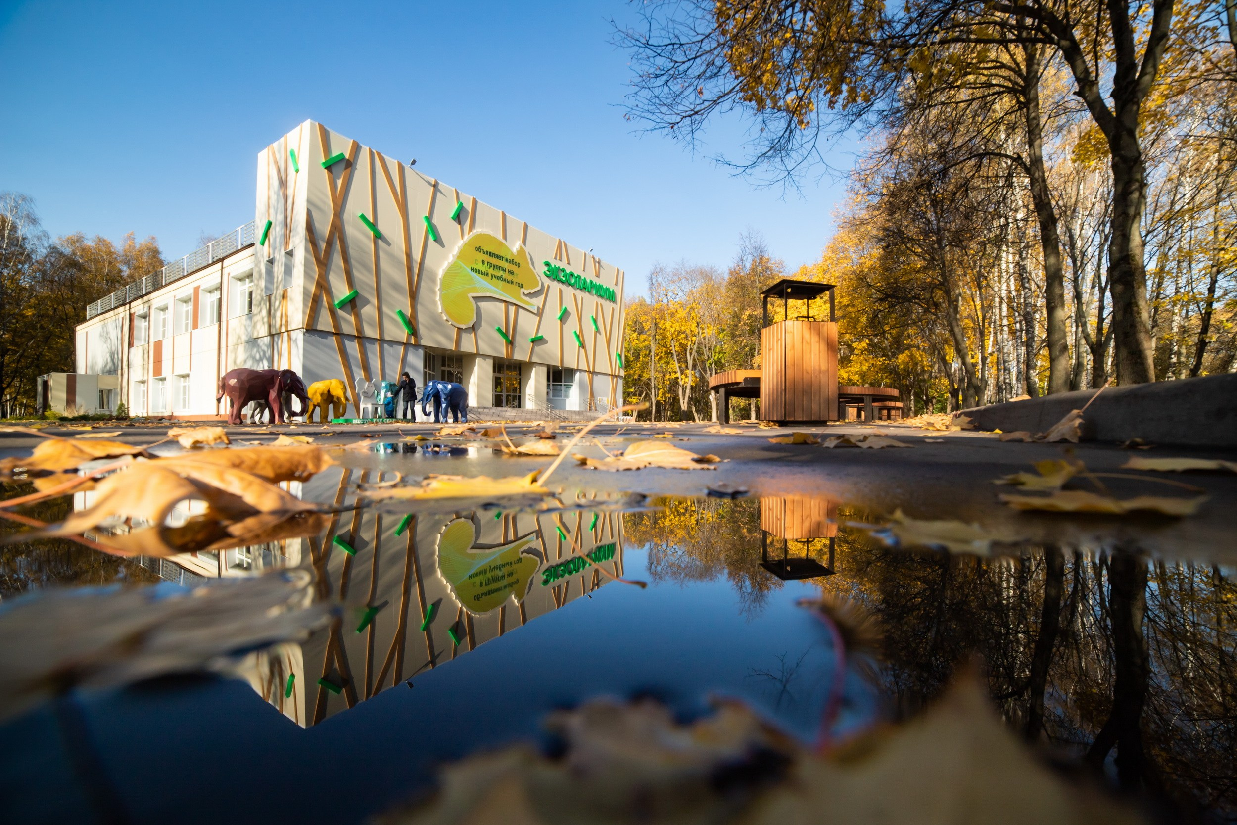 Тула. Репортажный фотограф Алексей Пирязев