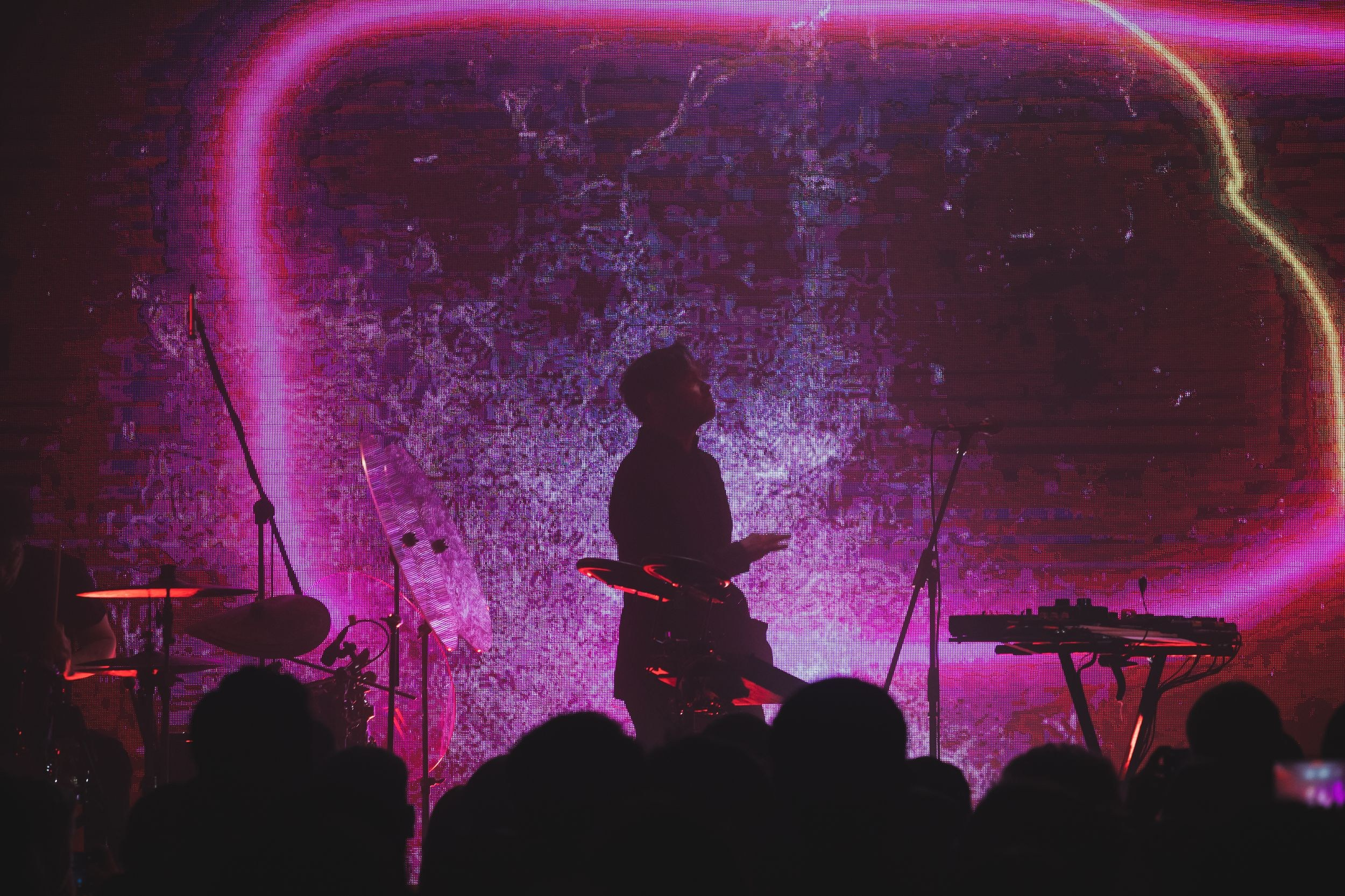 Дельфин. Репортажный фотограф Алексей Пирязев