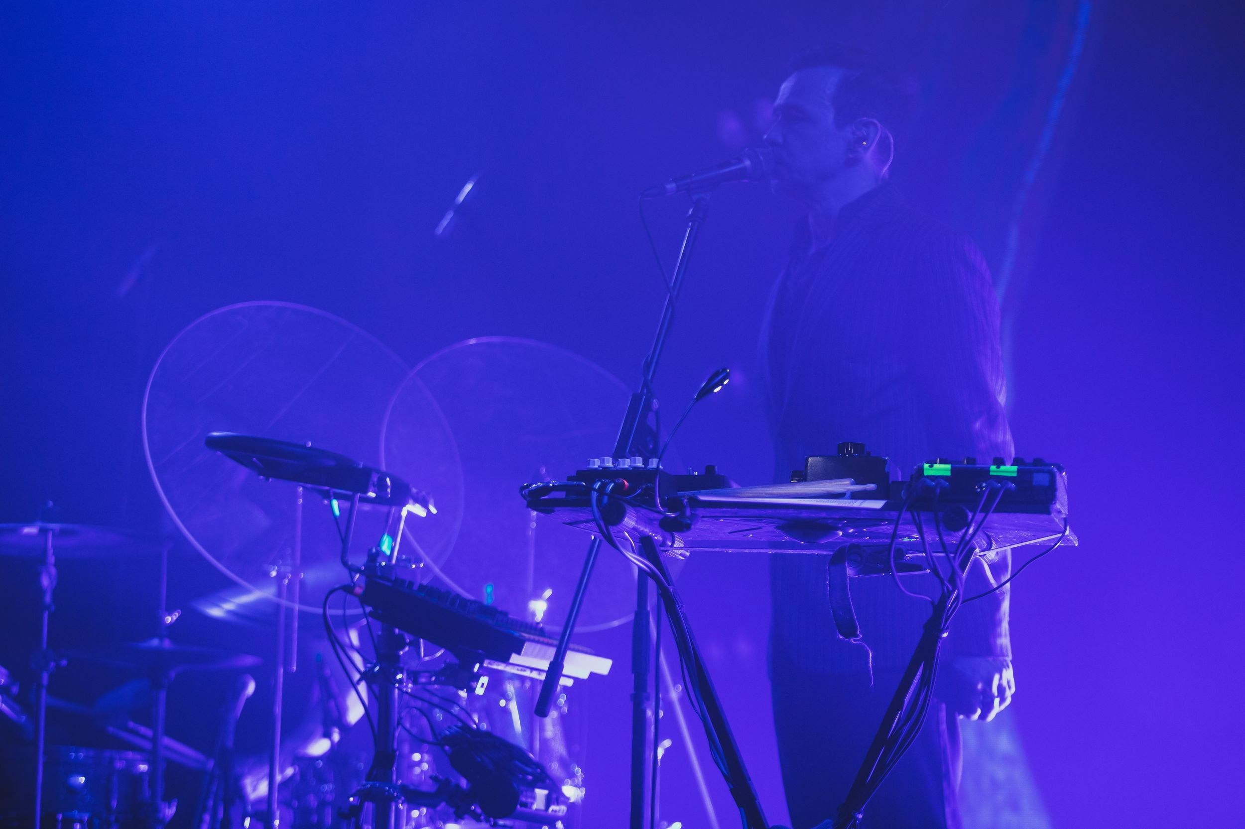 Дельфин. Репортажный фотограф Алексей Пирязев