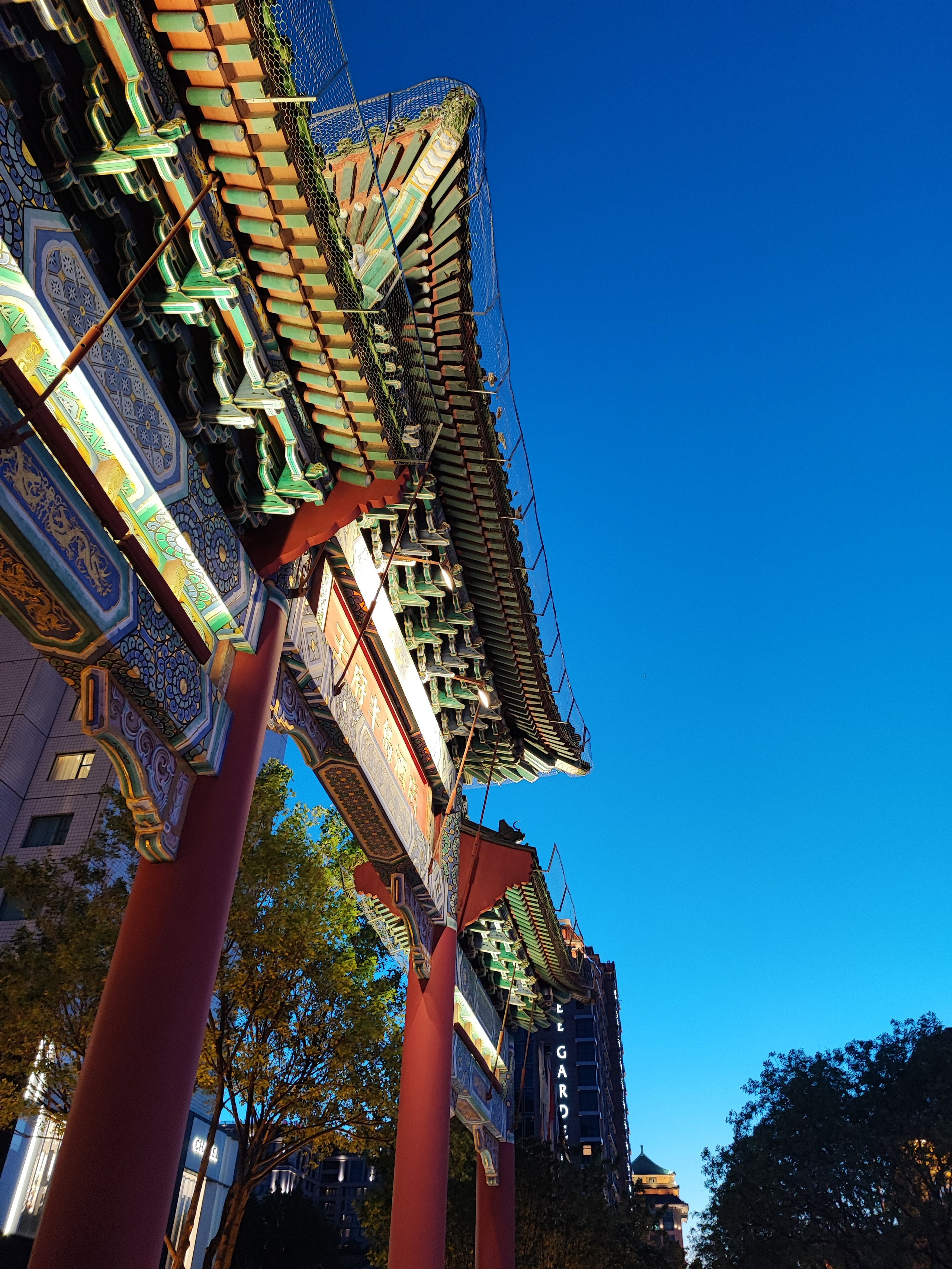 Намобилкус китайский. Репортажный фотограф Алексей Пирязев