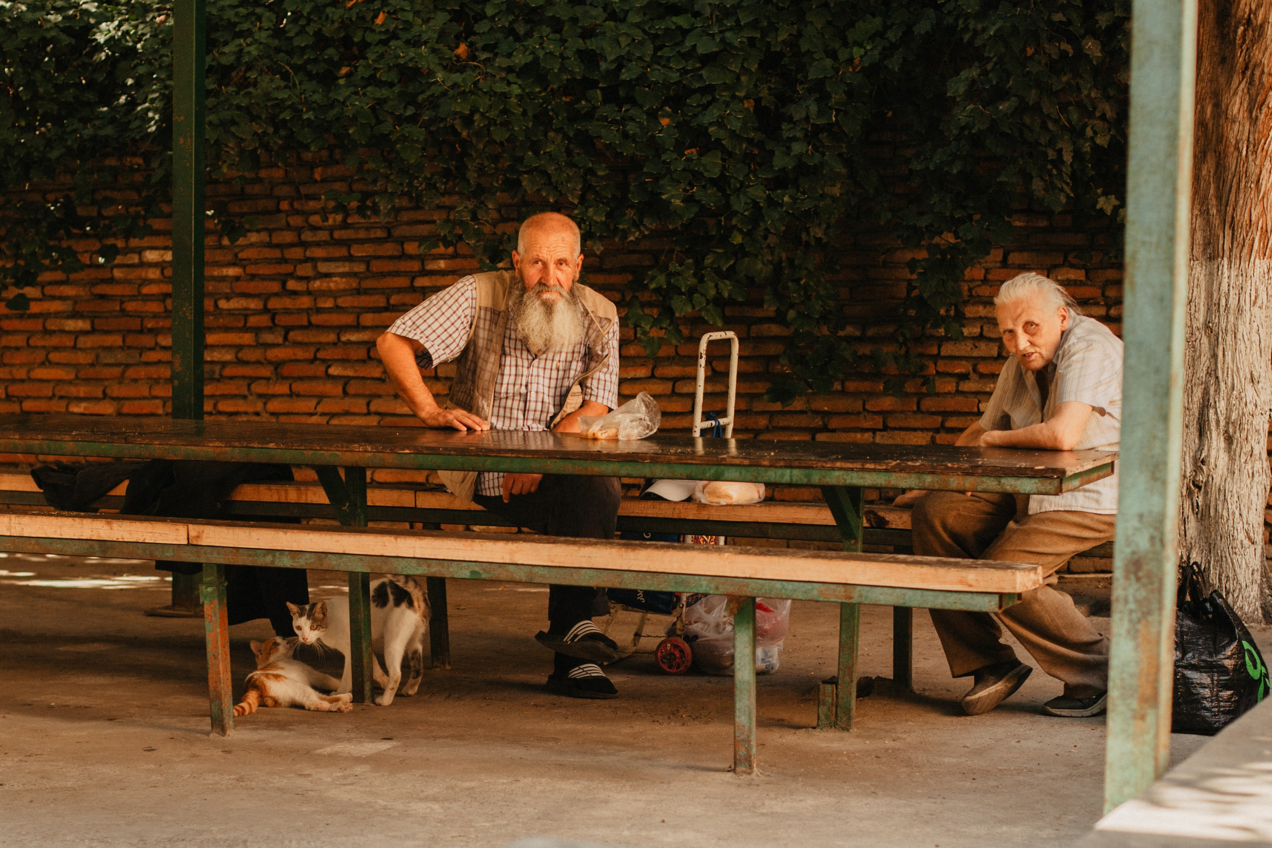 Грузинские каникулы. Violetta Skripka