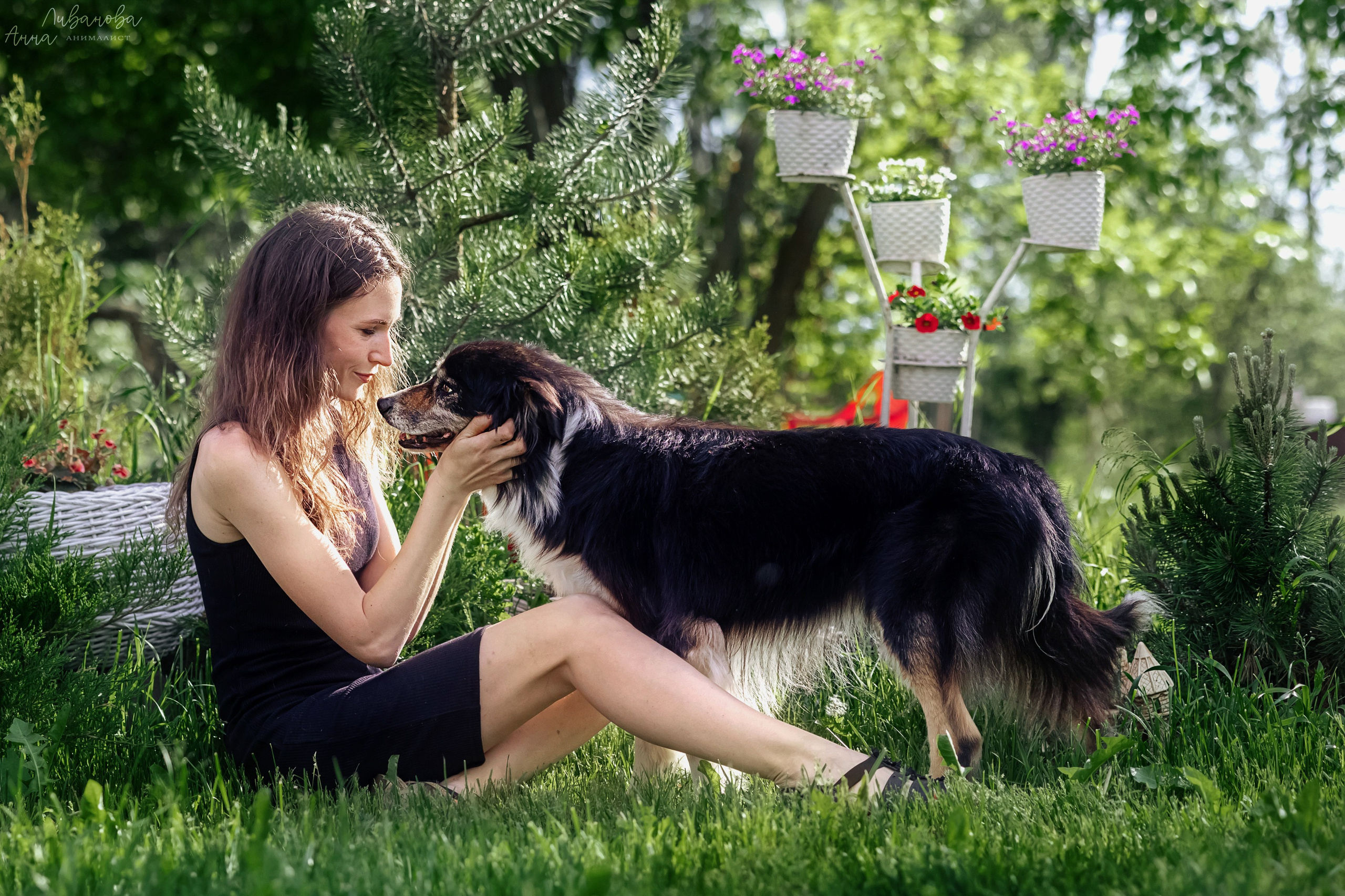 Рита и Ко. Фотограф анималист Аня Ливанова | Рыбинск