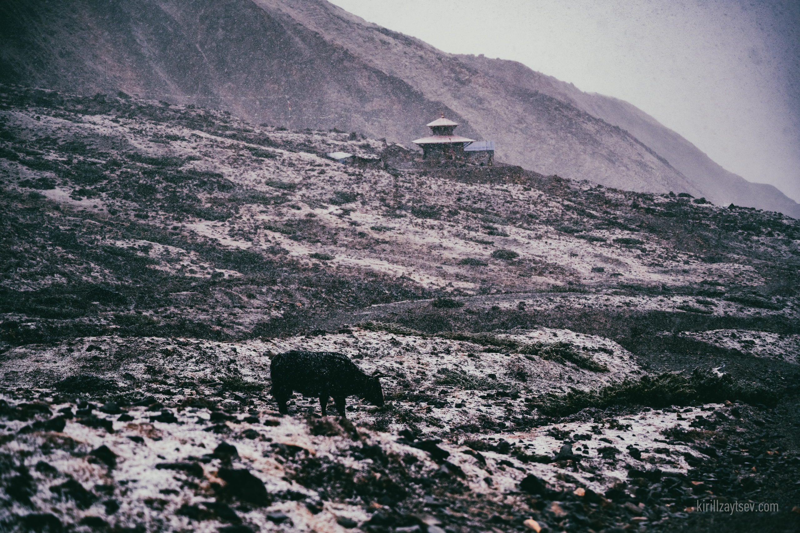 Жизнь. Профессиональный фотограф Кирилл Зайцев