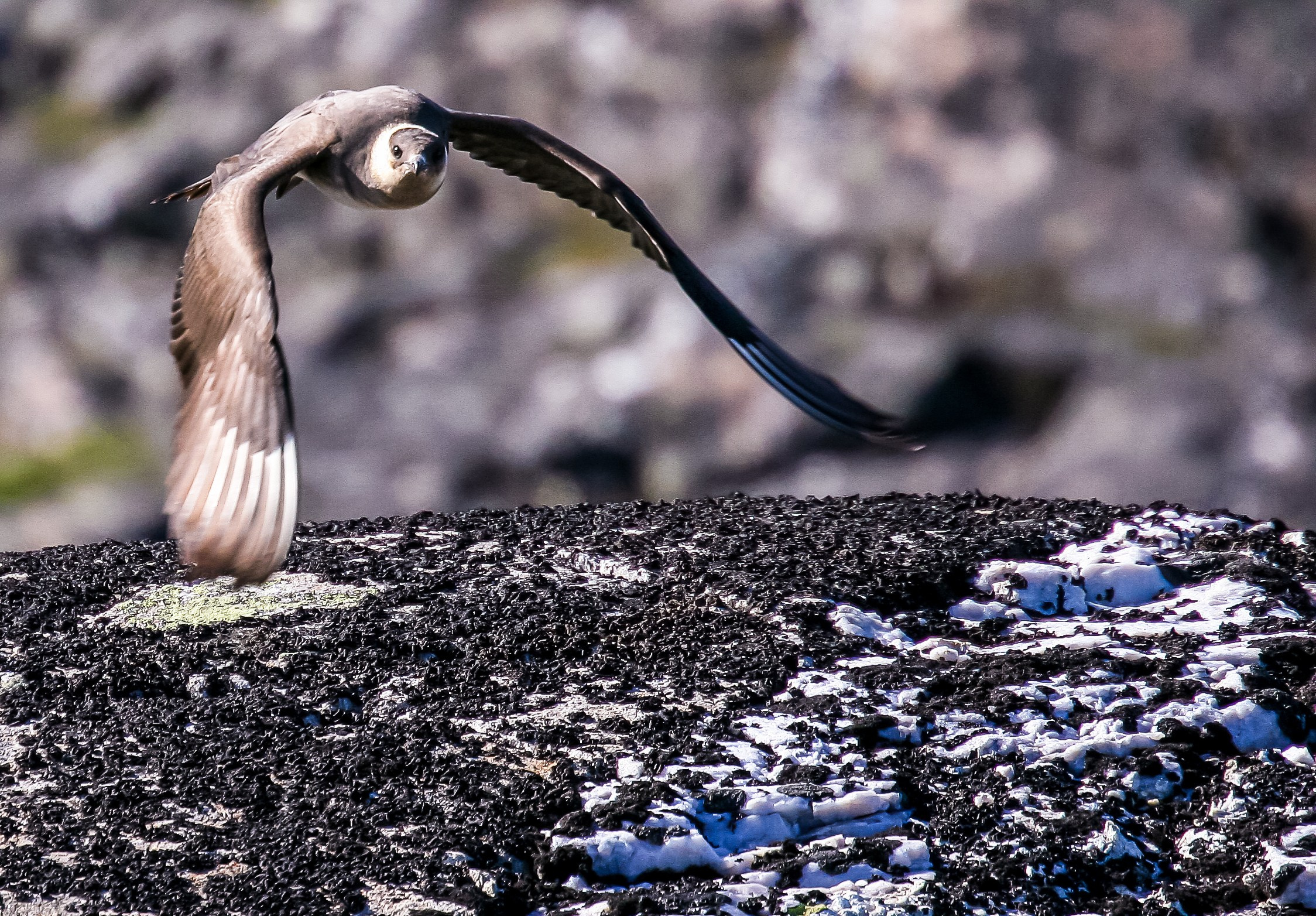 Баренцево море. Пейзажи Крайнего Севера. Баренцево море, Рыбачий, Средний, Немецкий