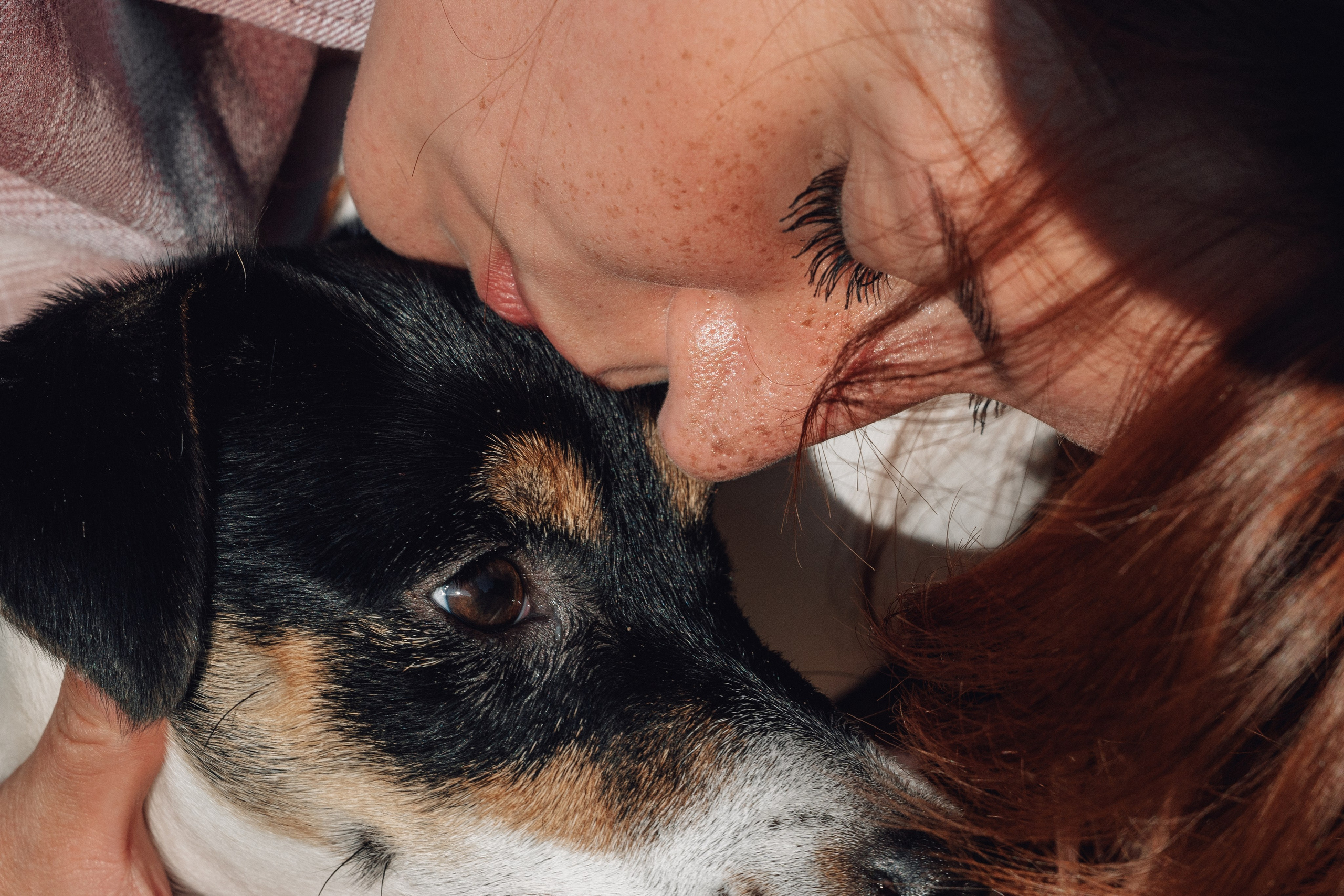 Аня и Луна. Фотограф и видеограф в Тюмени Екатерина Чернецкая