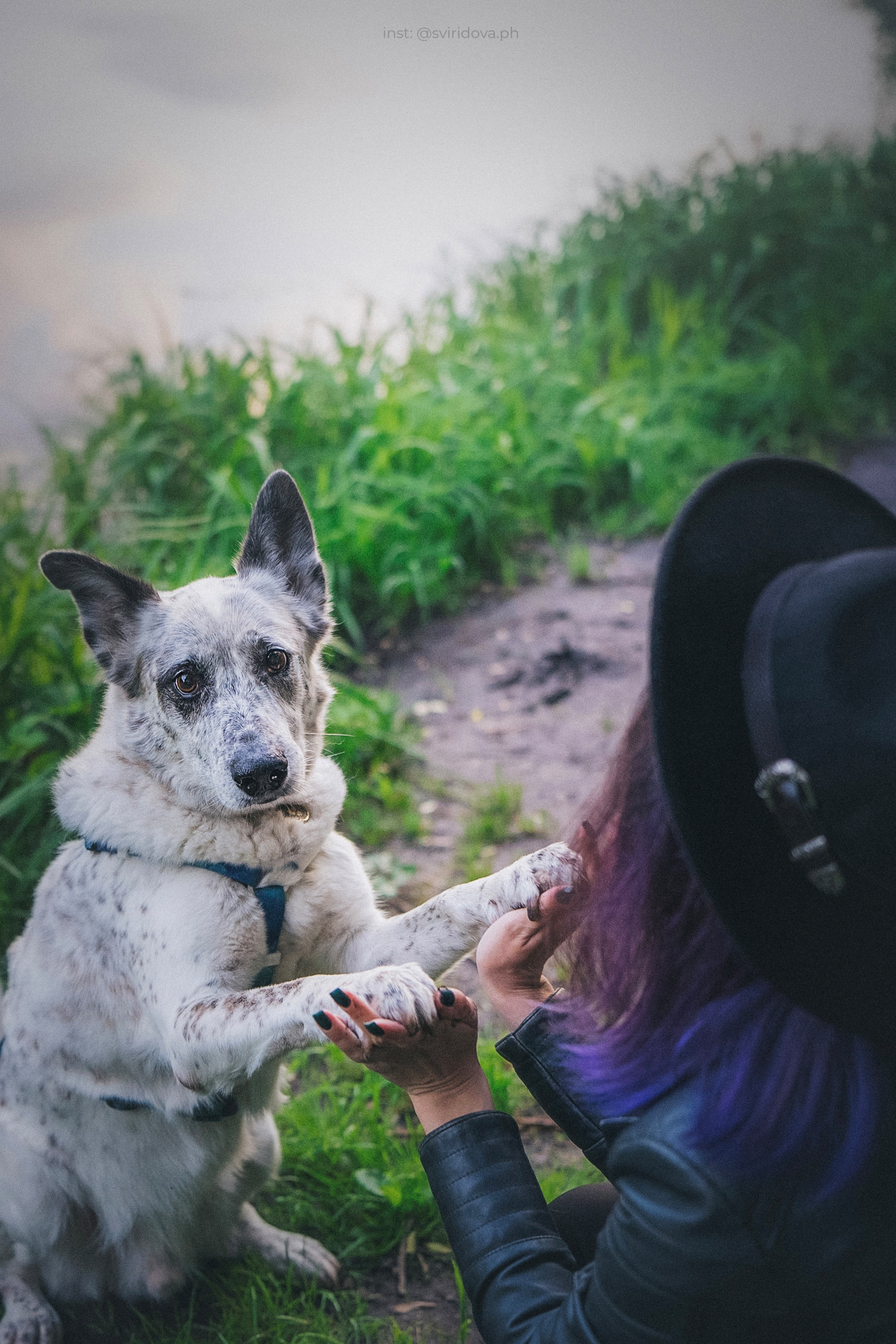 Катя и Бутуз. Фотограф анималист в Москве и Санкт-Петербурге Свиридова Анна