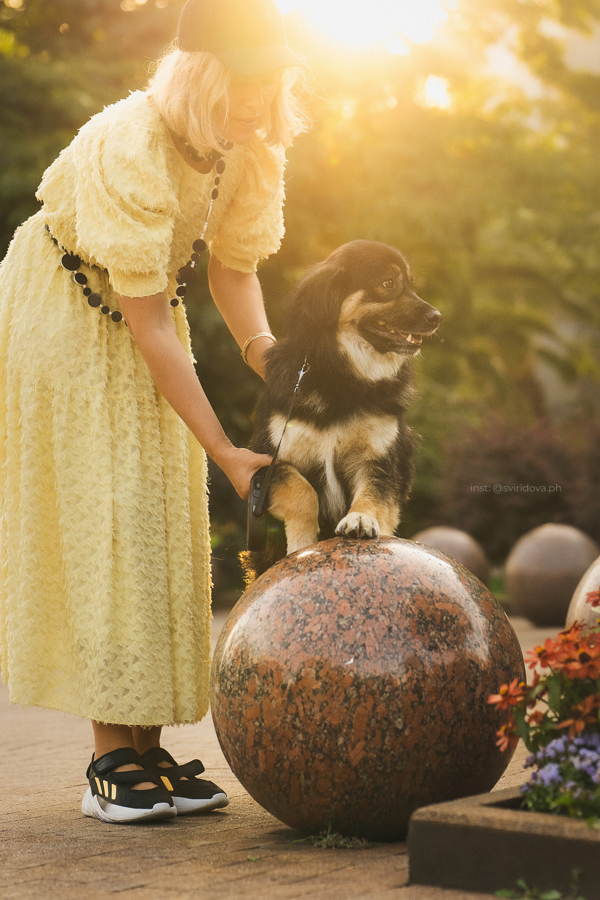 Собакам ищут дом. Фотограф анималист в Москве и Санкт-Петербурге Свиридова Анна