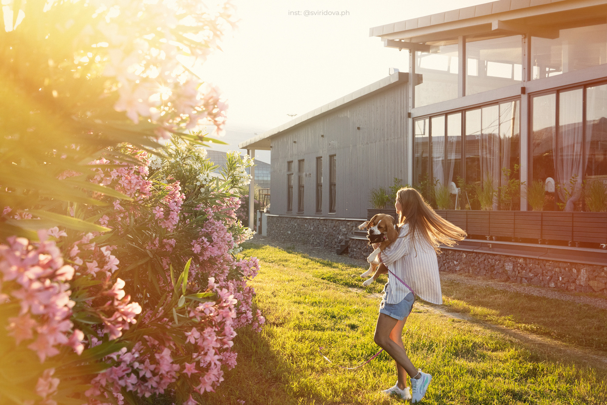 Евгения и Мира. Фотограф анималист в Москве и Санкт-Петербурге Свиридова Анна