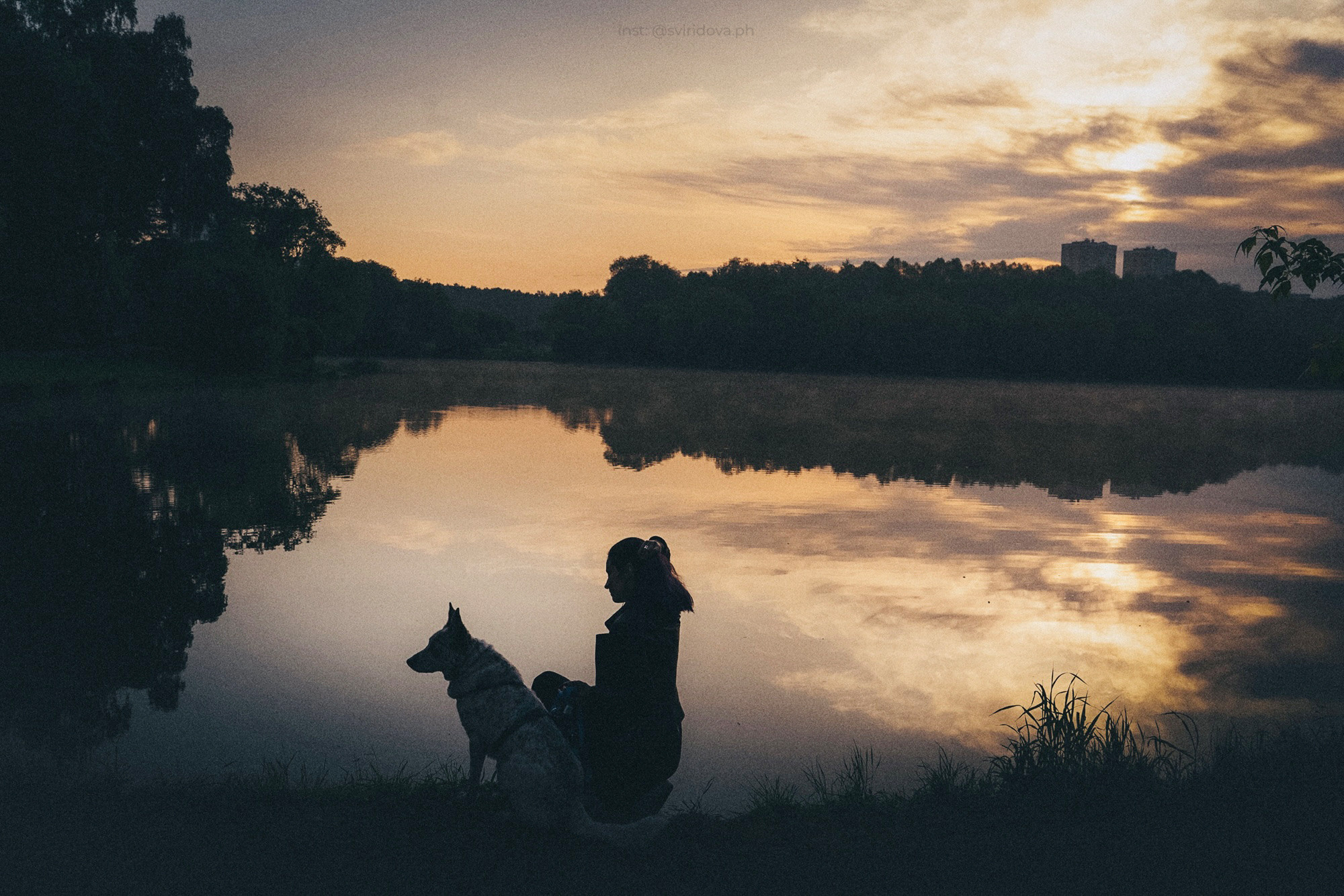 Катя и Бутуз. Фотограф анималист в Москве и Санкт-Петербурге Свиридова Анна