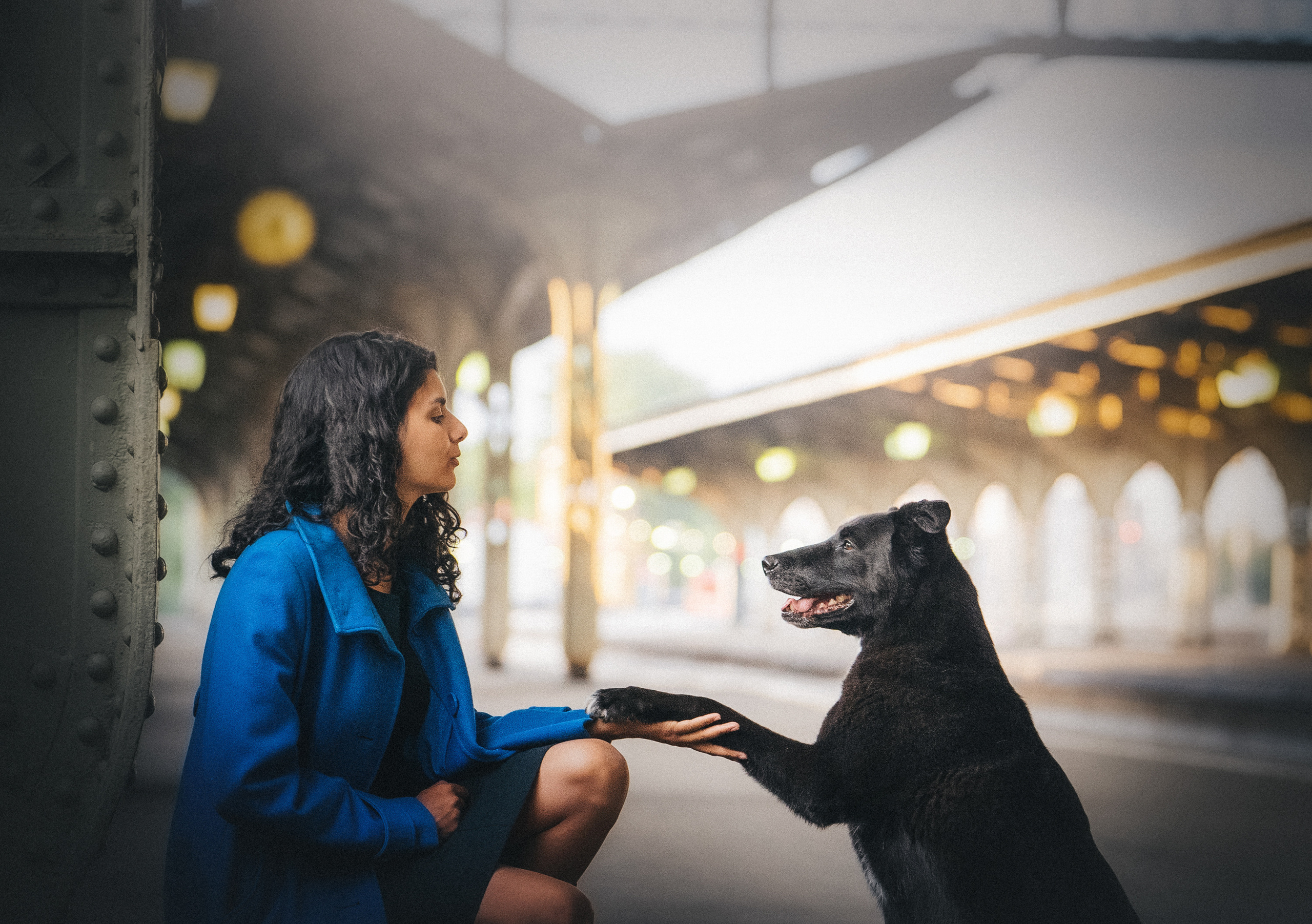 Вика и Чара. Фотограф анималист в Москве и Санкт-Петербурге Свиридова Анна