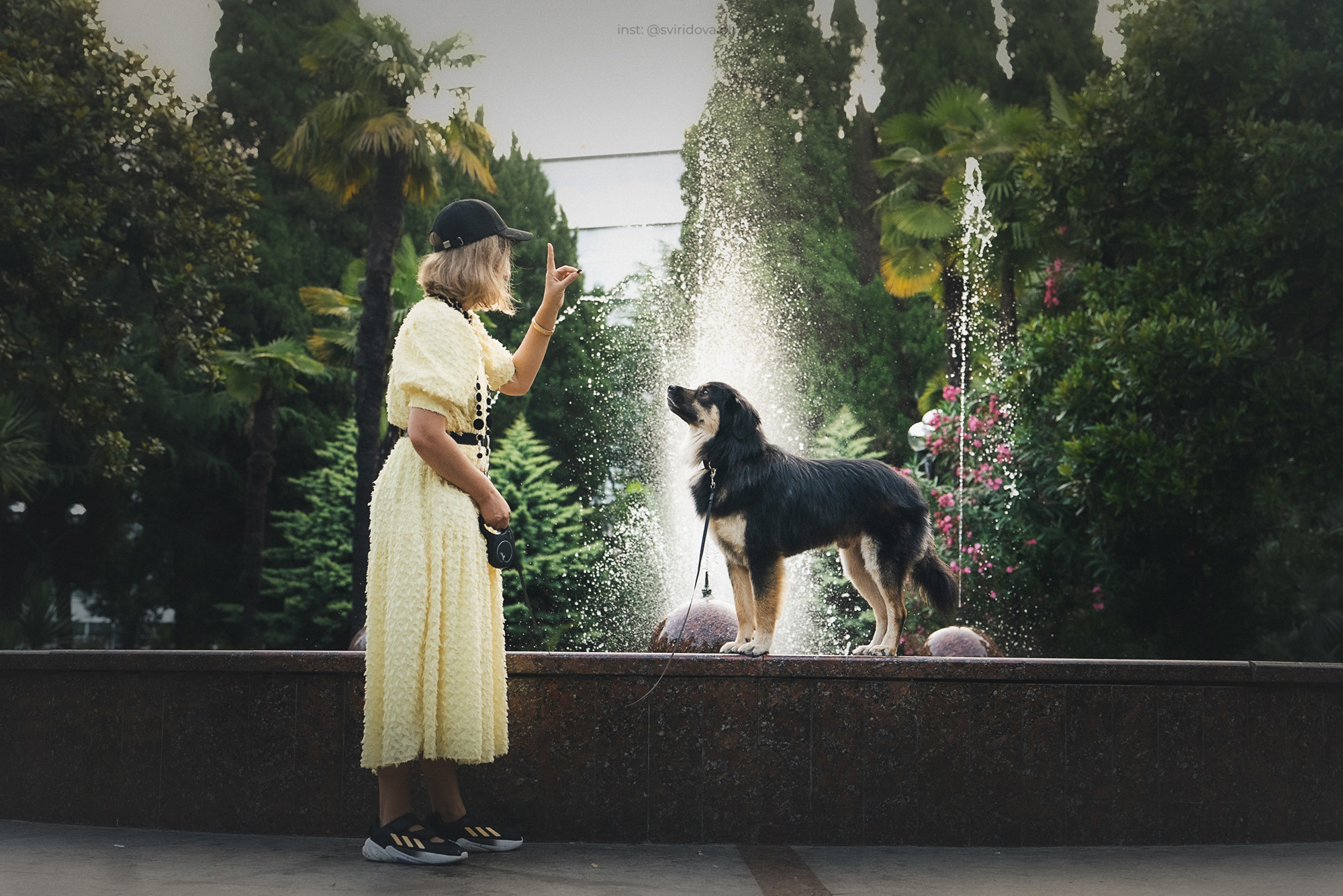 Собакам ищут дом. Фотограф анималист в Москве и Санкт-Петербурге Свиридова Анна