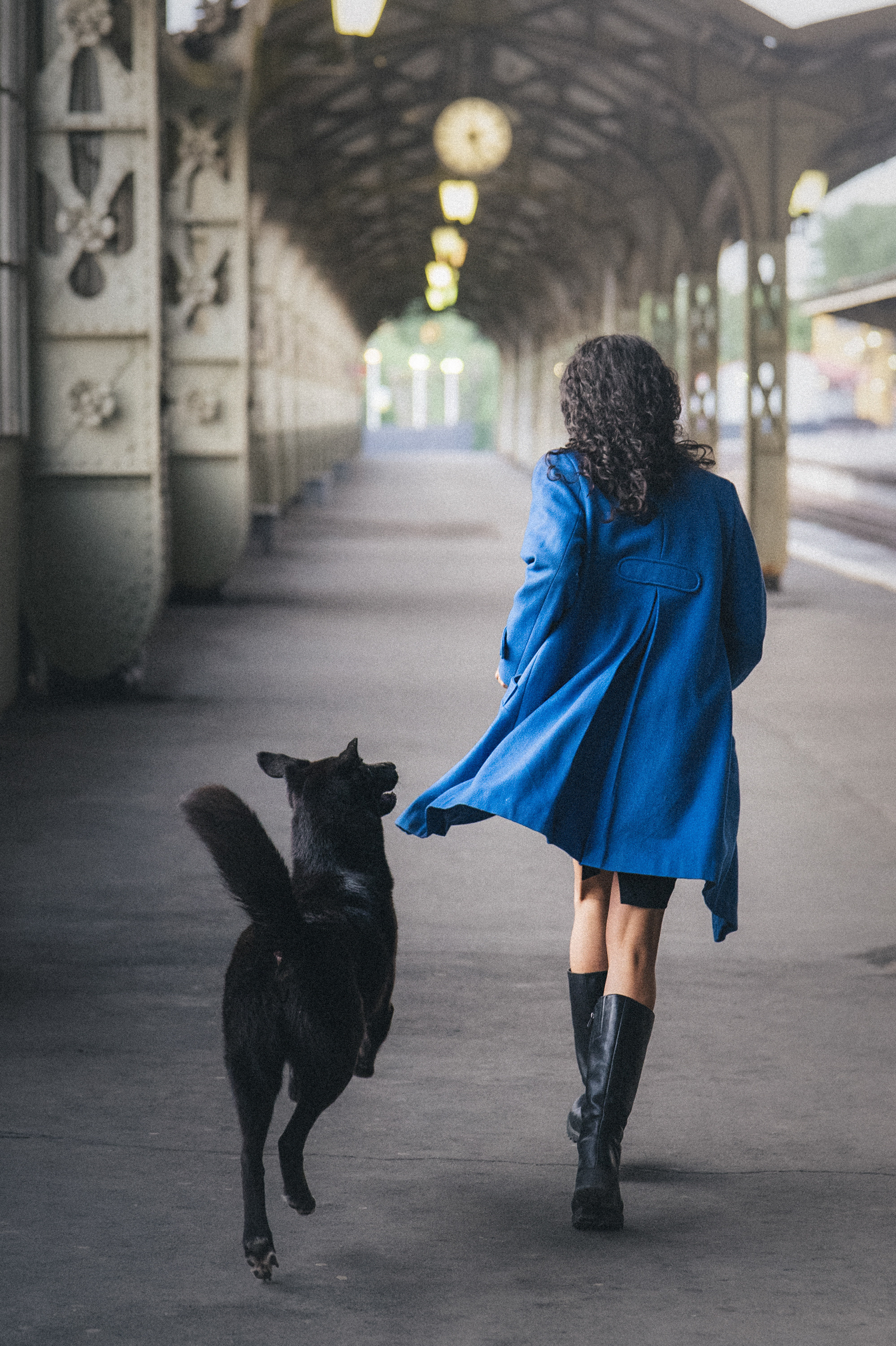 Вика и Чара. Фотограф анималист в Москве и Санкт-Петербурге Свиридова Анна
