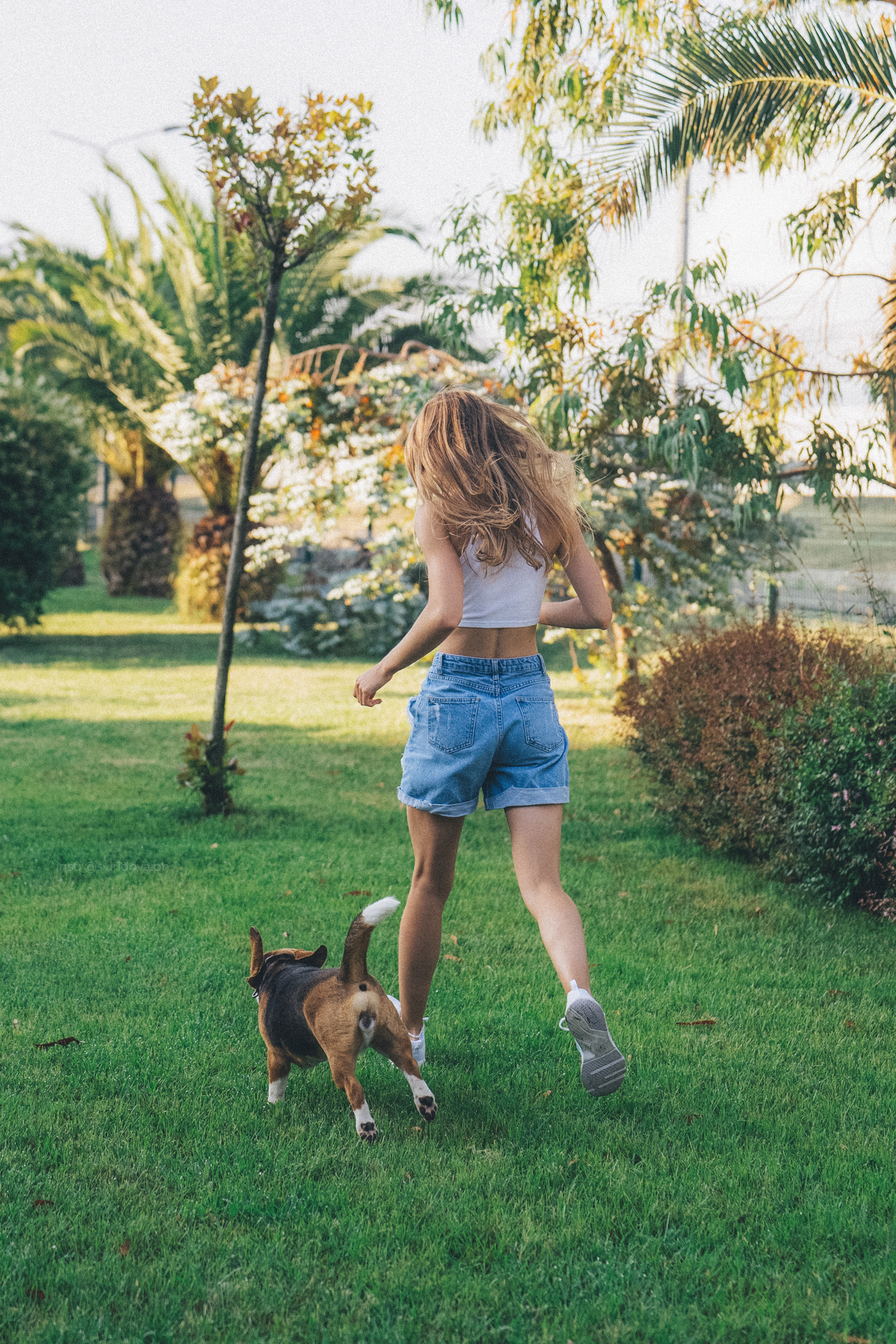 Евгения и Мира. Фотограф анималист в Москве и Санкт-Петербурге Свиридова Анна