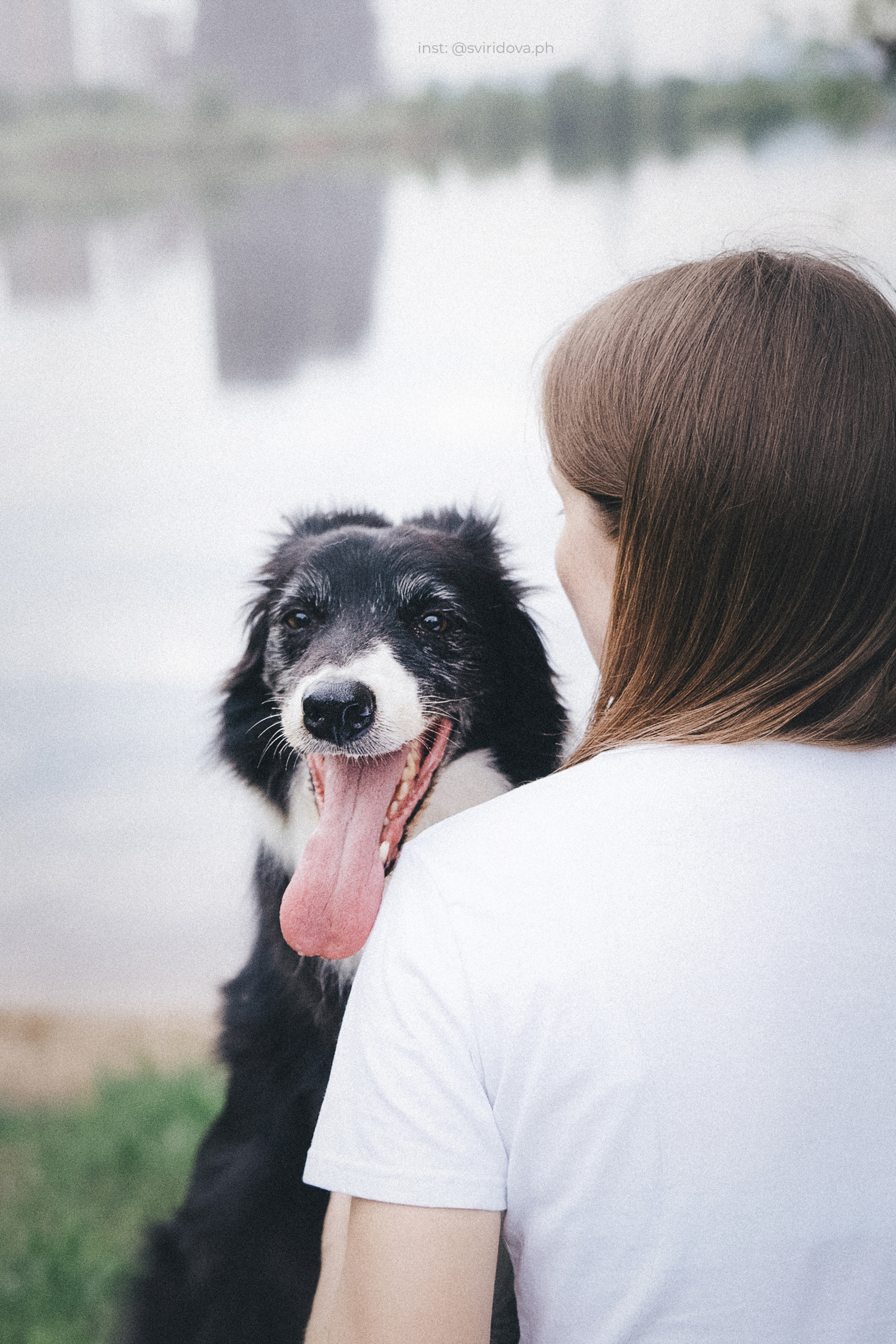 Вика и Веник. Фотограф анималист в Москве и Санкт-Петербурге Свиридова Анна
