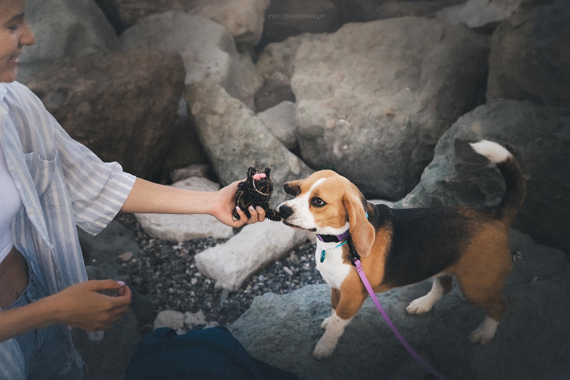 Евгения и Мира. Фотограф анималист в Москве и Санкт-Петербурге Свиридова Анна