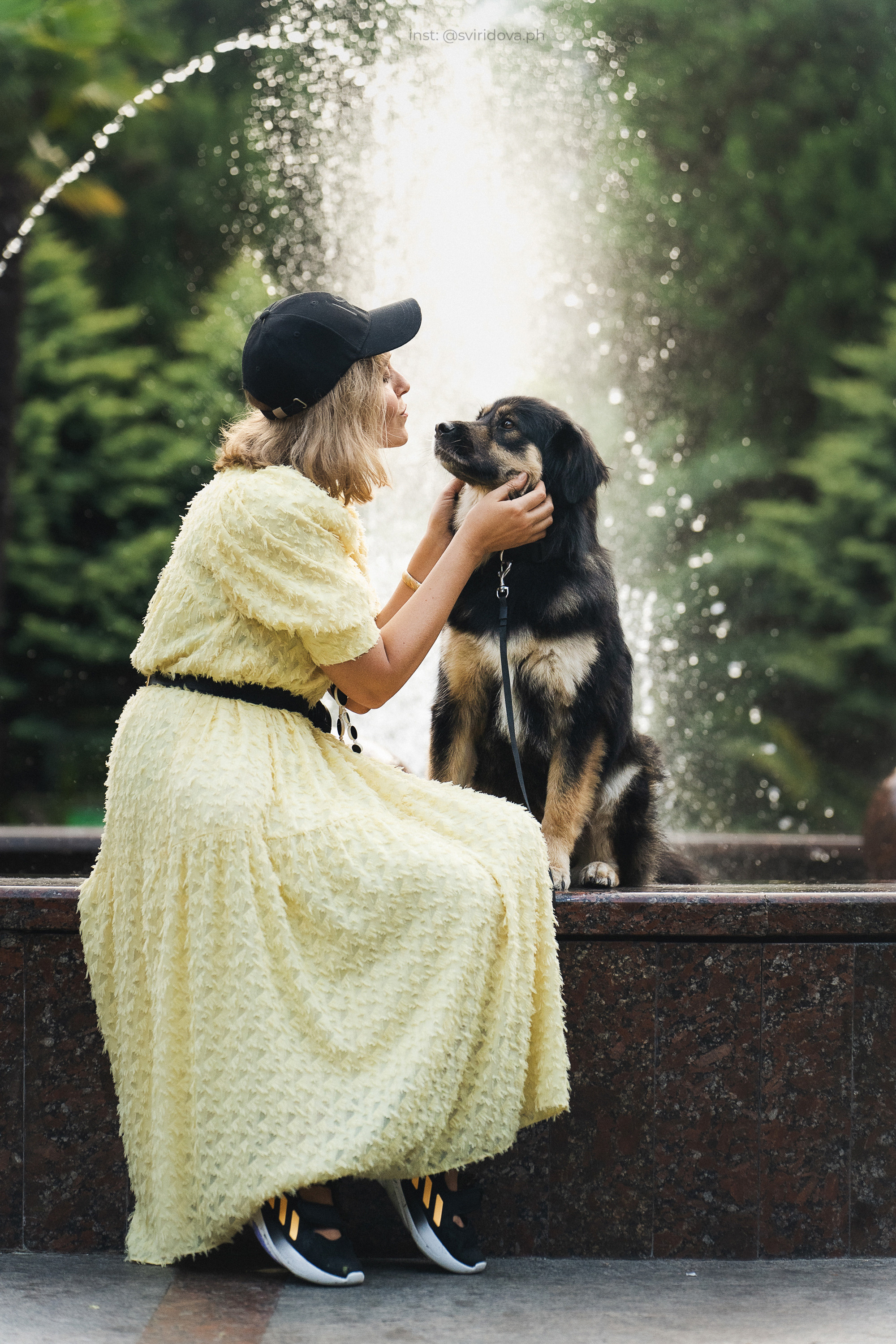 Собакам ищут дом. Фотограф анималист в Москве и Санкт-Петербурге Свиридова Анна