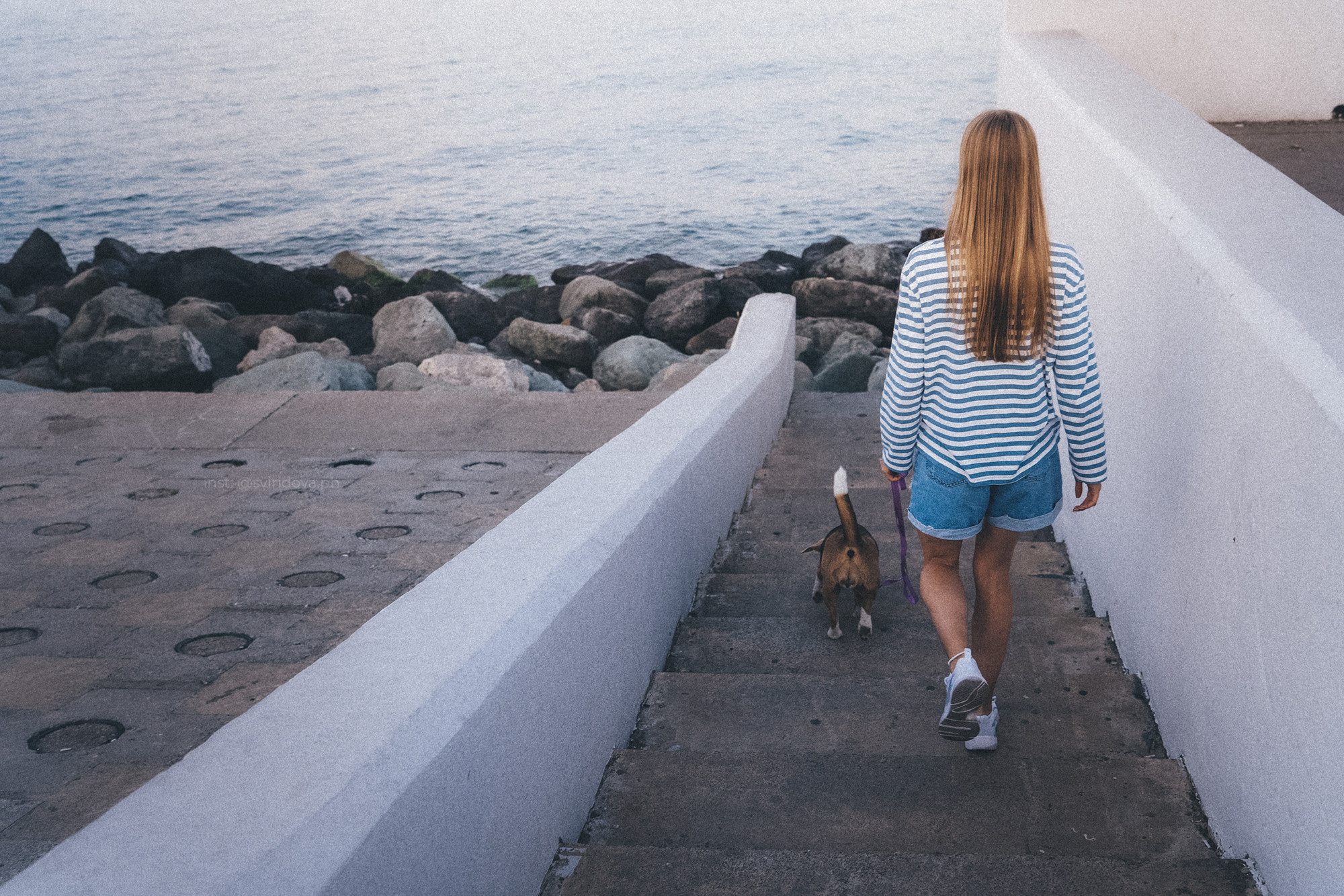 Евгения и Мира. Фотограф анималист в Москве и Санкт-Петербурге Свиридова Анна