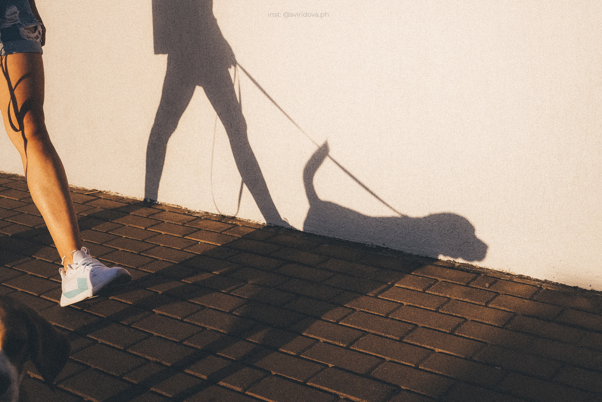 Евгения и Мира. Фотограф анималист в Москве и Санкт-Петербурге Свиридова Анна