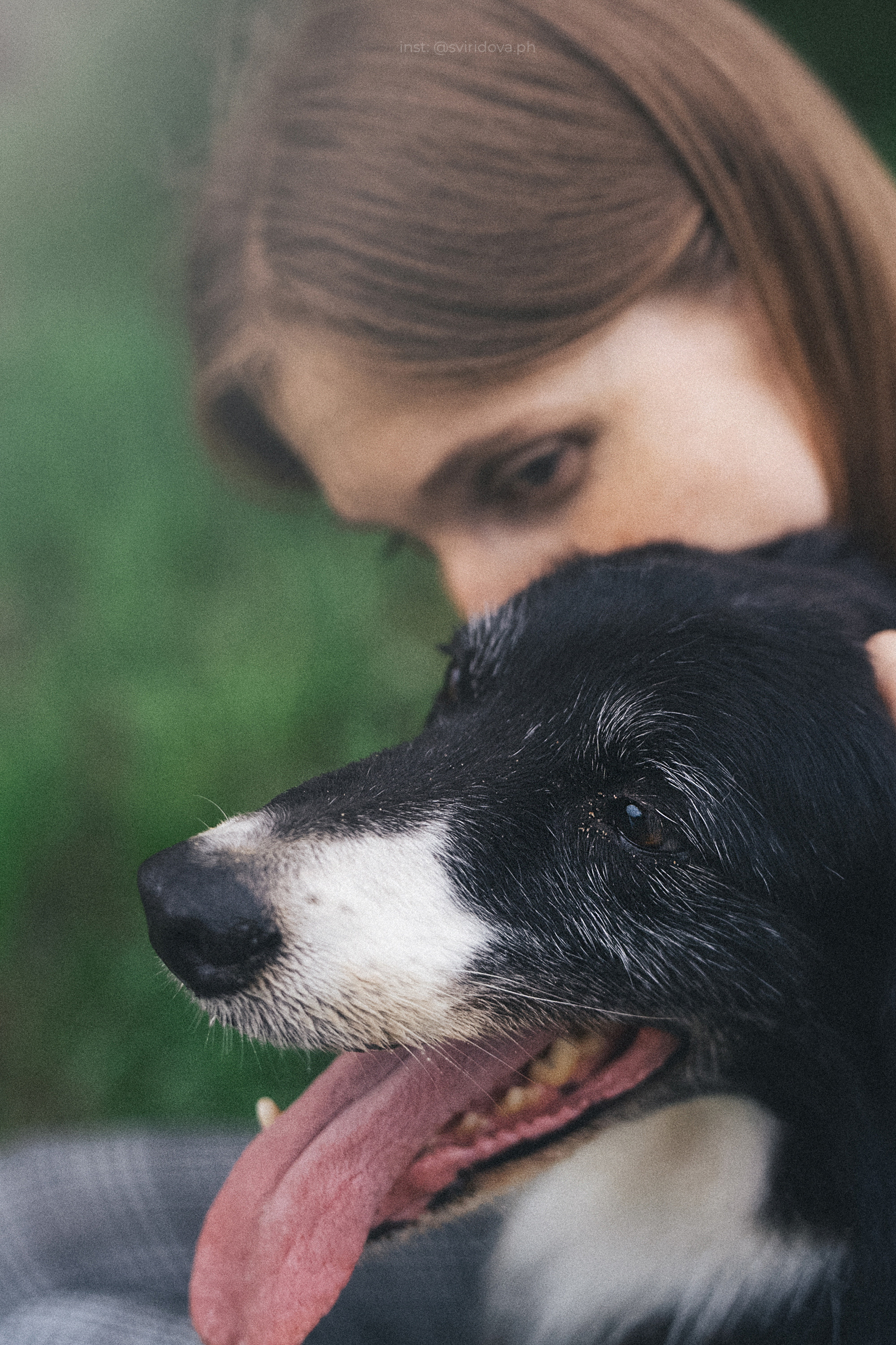 Вика и Веник. Фотограф анималист в Москве и Санкт-Петербурге Свиридова Анна