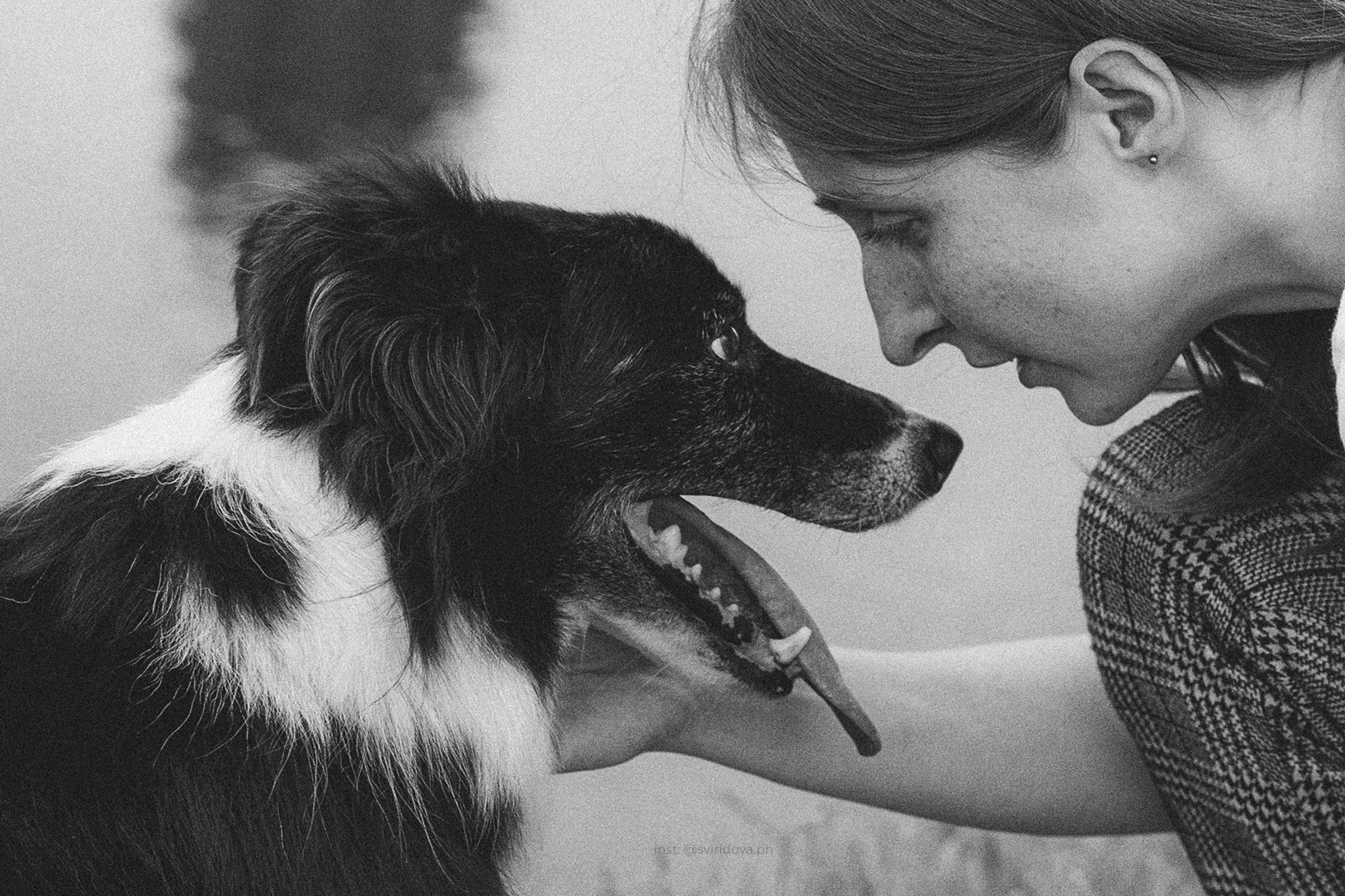 Вика и Веник. Фотограф анималист в Москве и Санкт-Петербурге Свиридова Анна
