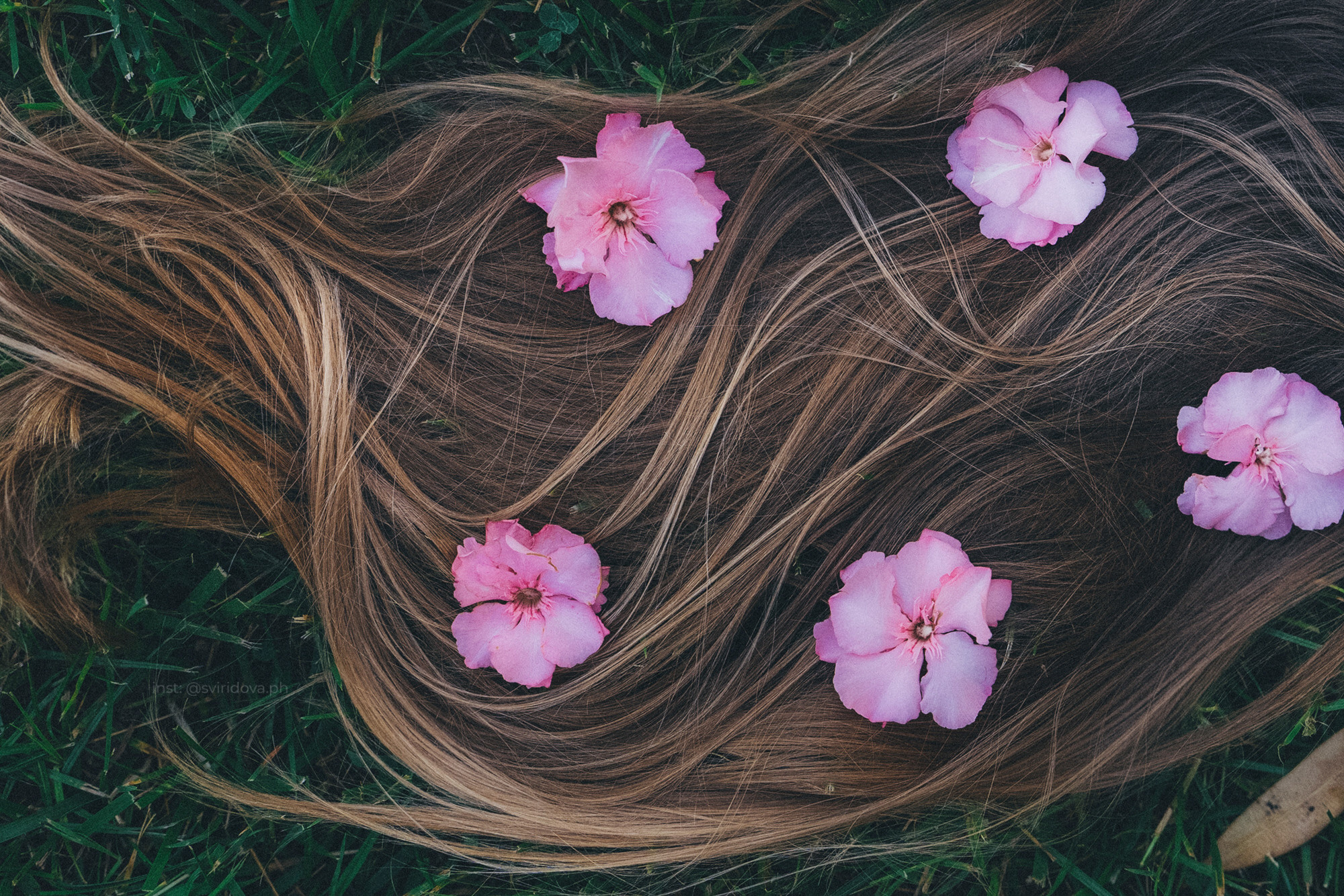 Евгения и Мира. Фотограф анималист в Москве и Санкт-Петербурге Свиридова Анна