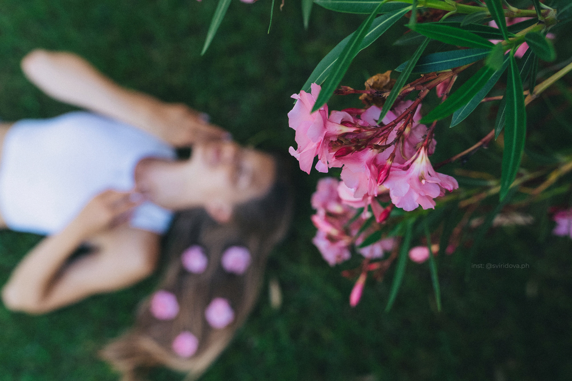 Евгения и Мира. Фотограф анималист в Москве и Санкт-Петербурге Свиридова Анна