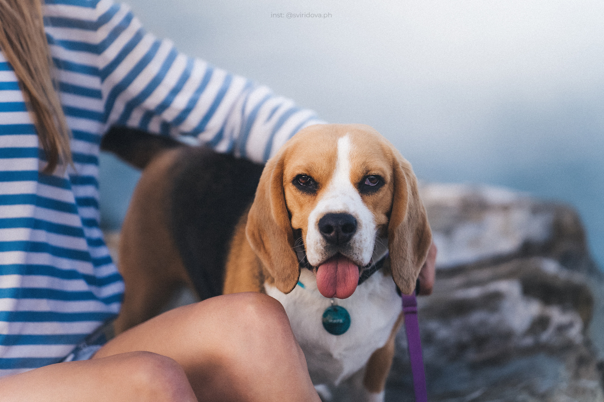 Евгения и Мира. Фотограф анималист в Москве и Санкт-Петербурге Свиридова Анна