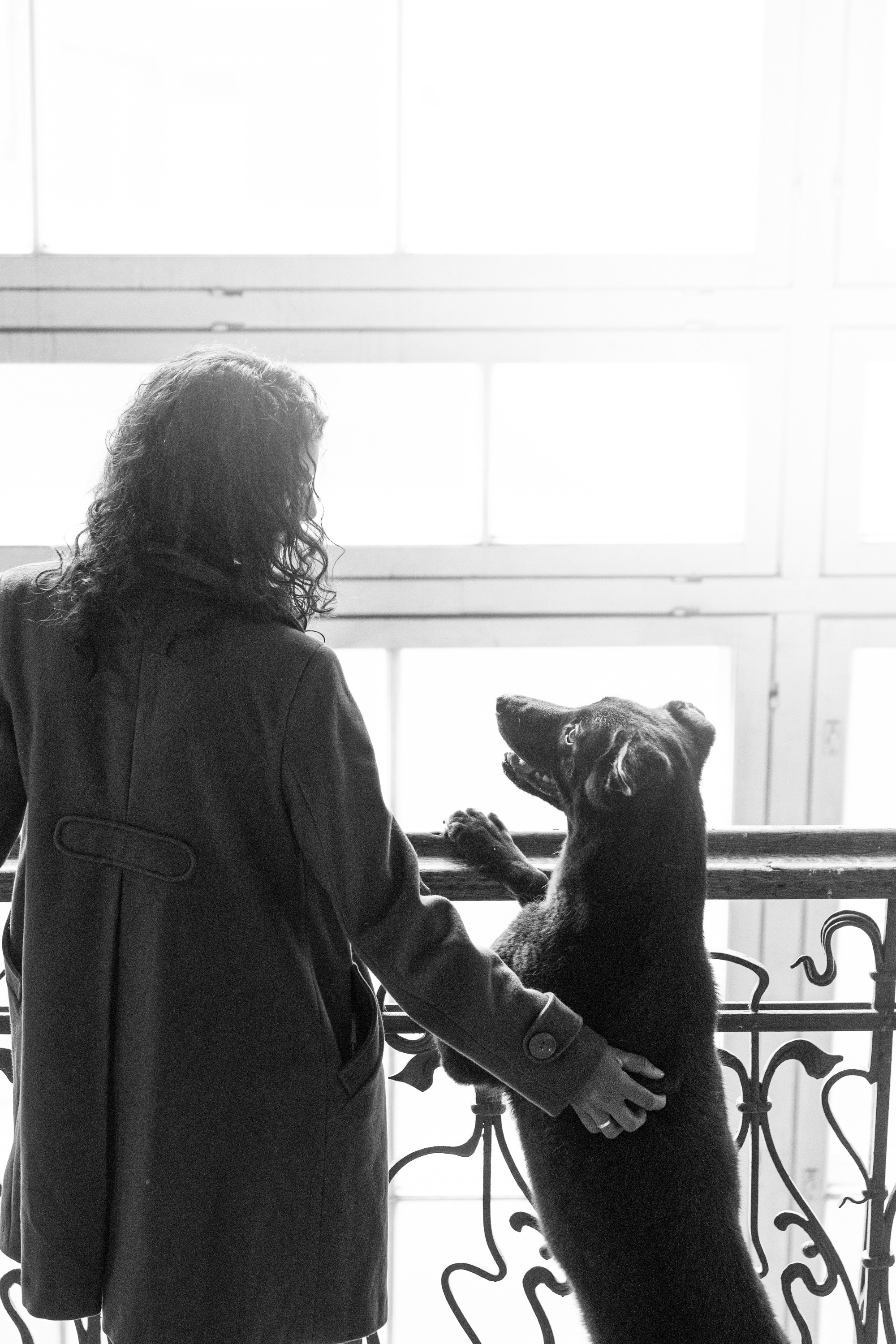 Вика и Чара. Фотограф анималист в Москве и Санкт-Петербурге Свиридова Анна