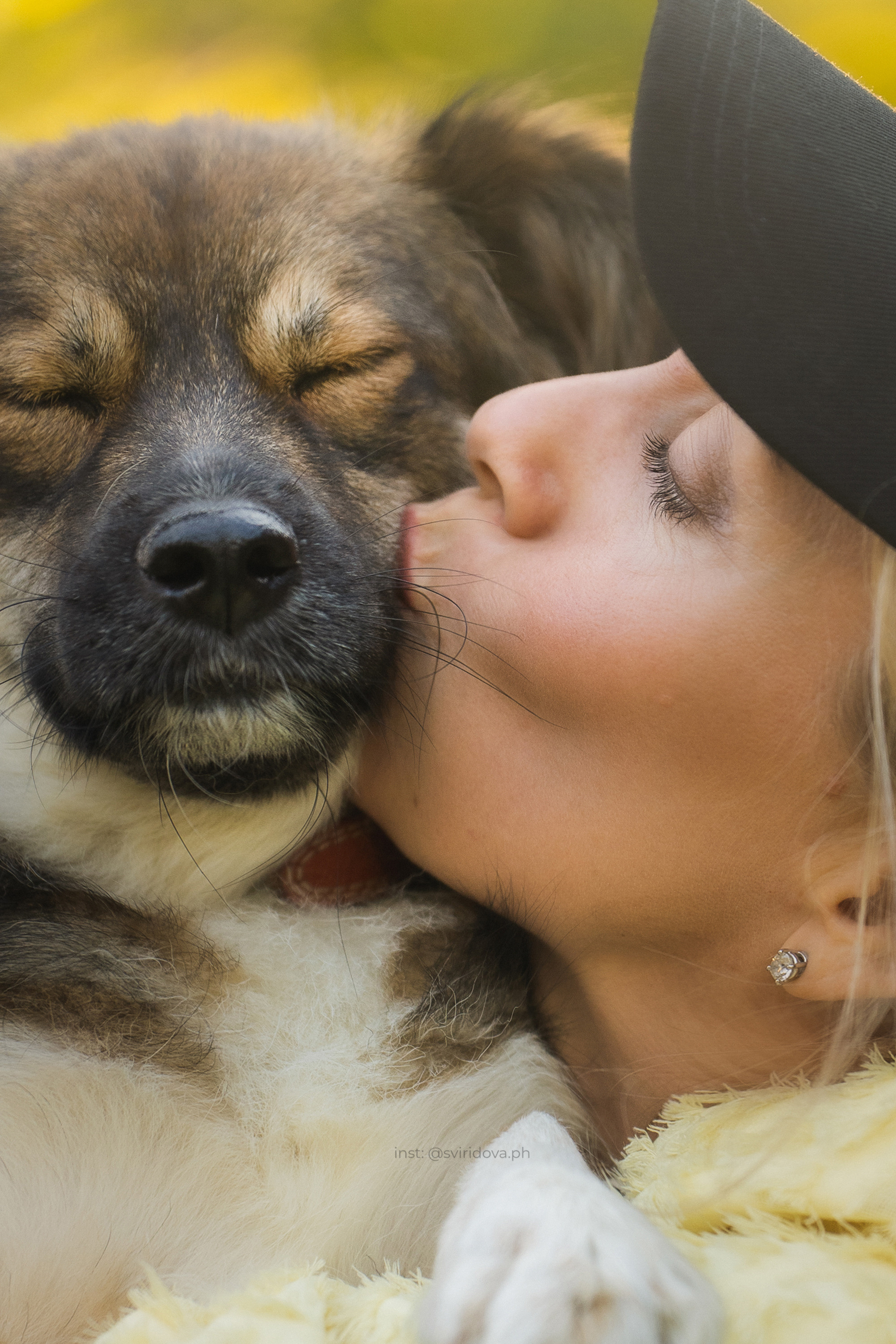 Собакам ищут дом. Фотограф анималист в Москве и Санкт-Петербурге Свиридова Анна